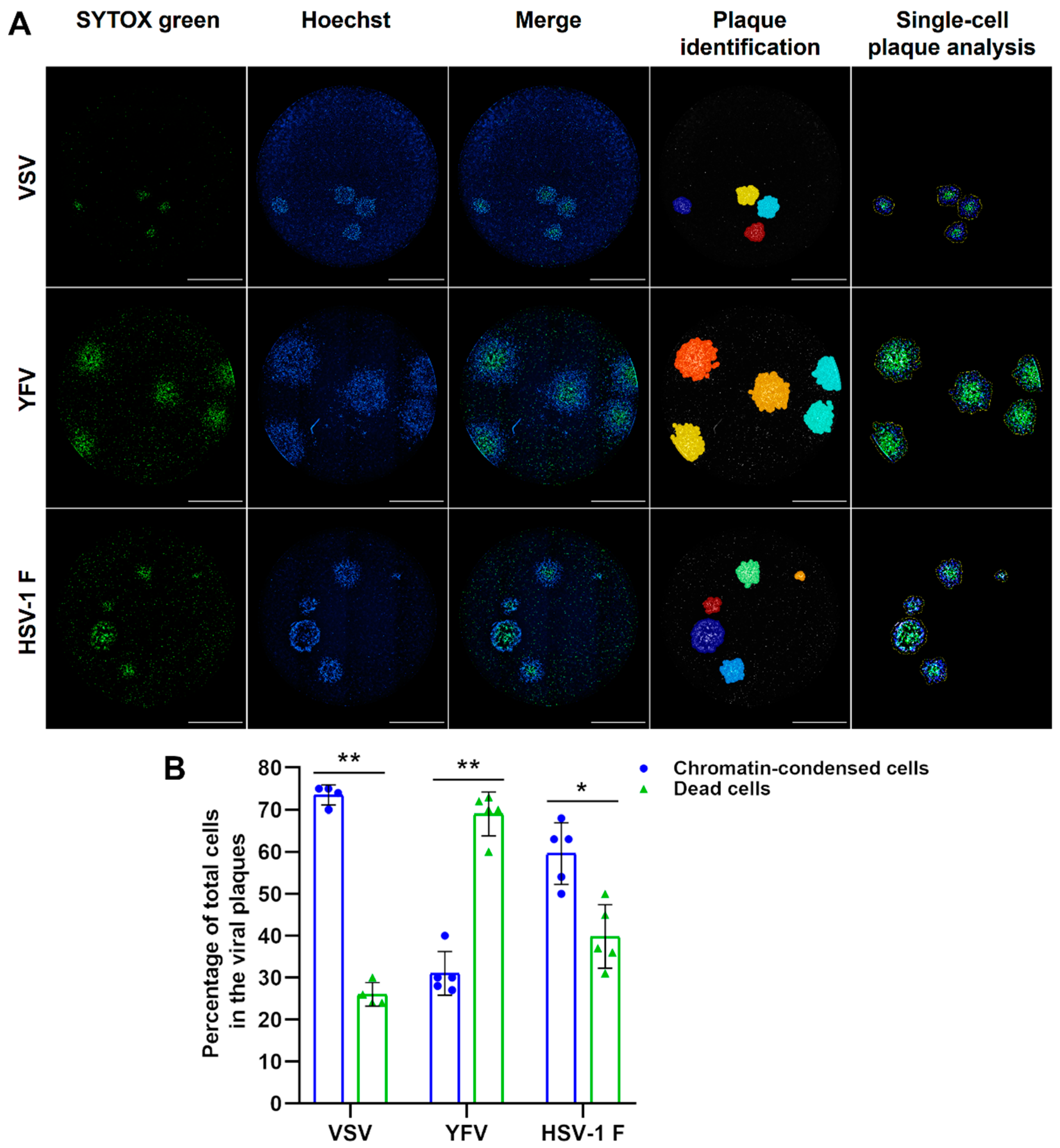 Viruses 13 01193 g007 550