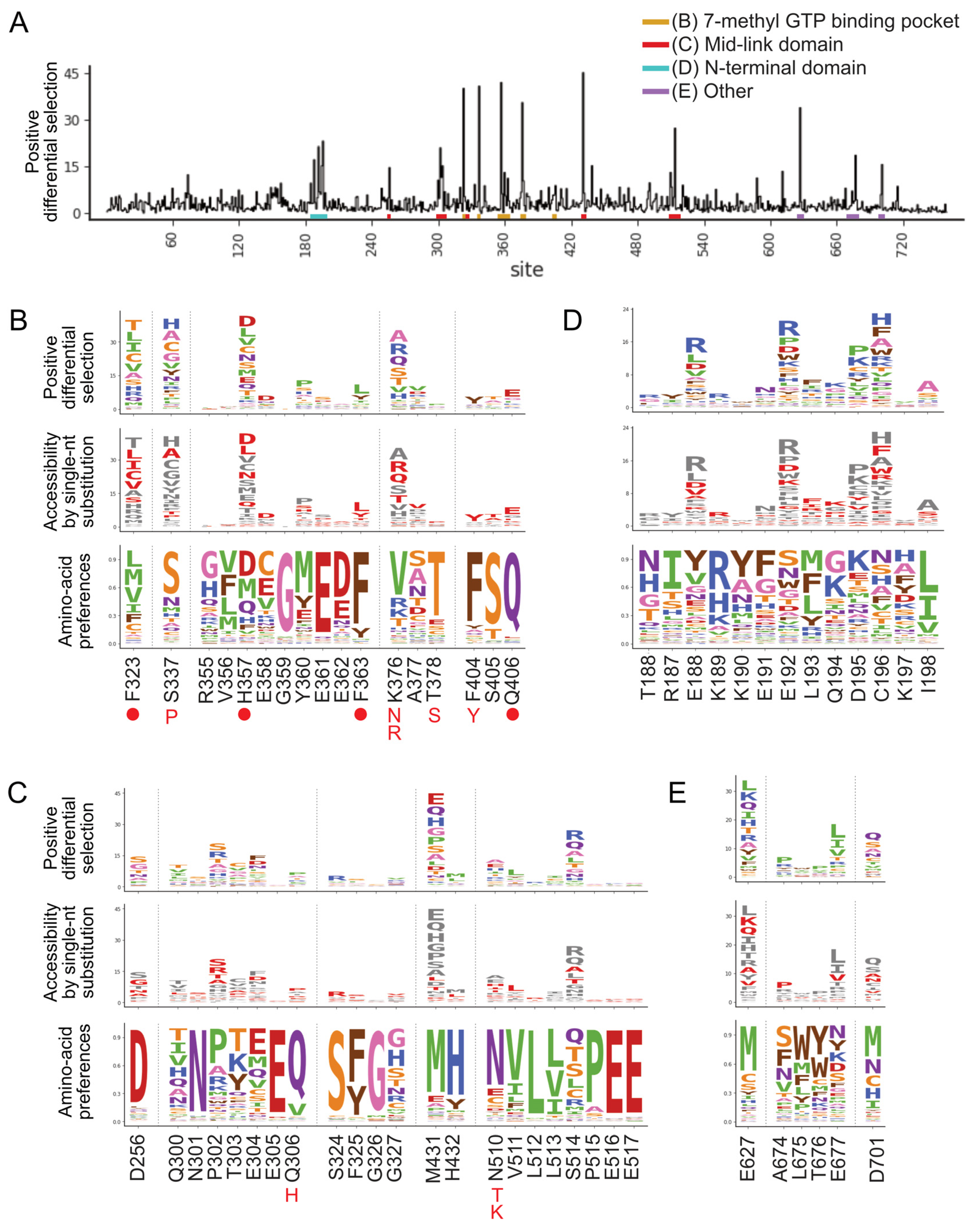 Viruses 13 01196 g001