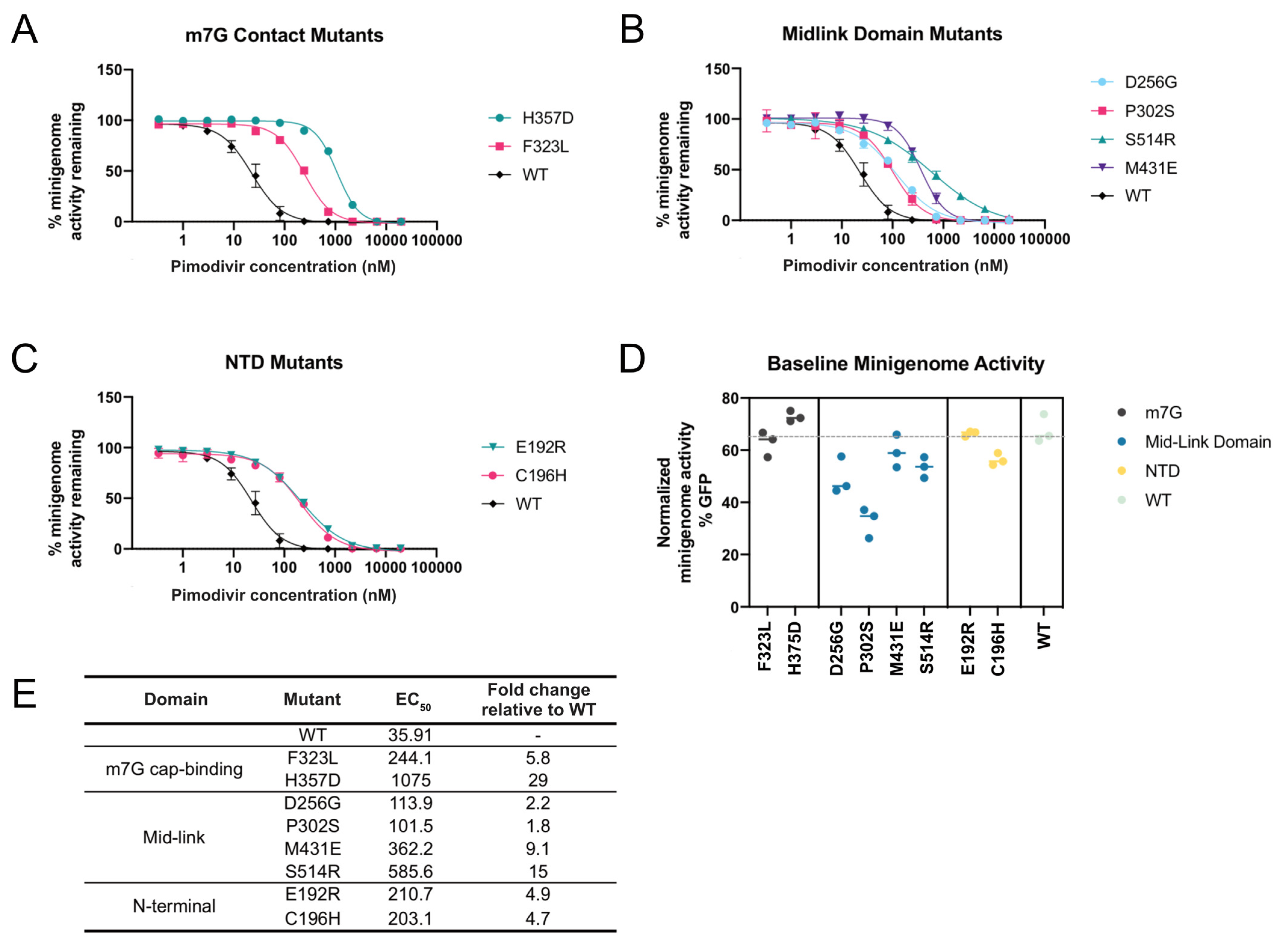 Viruses 13 01196 g003