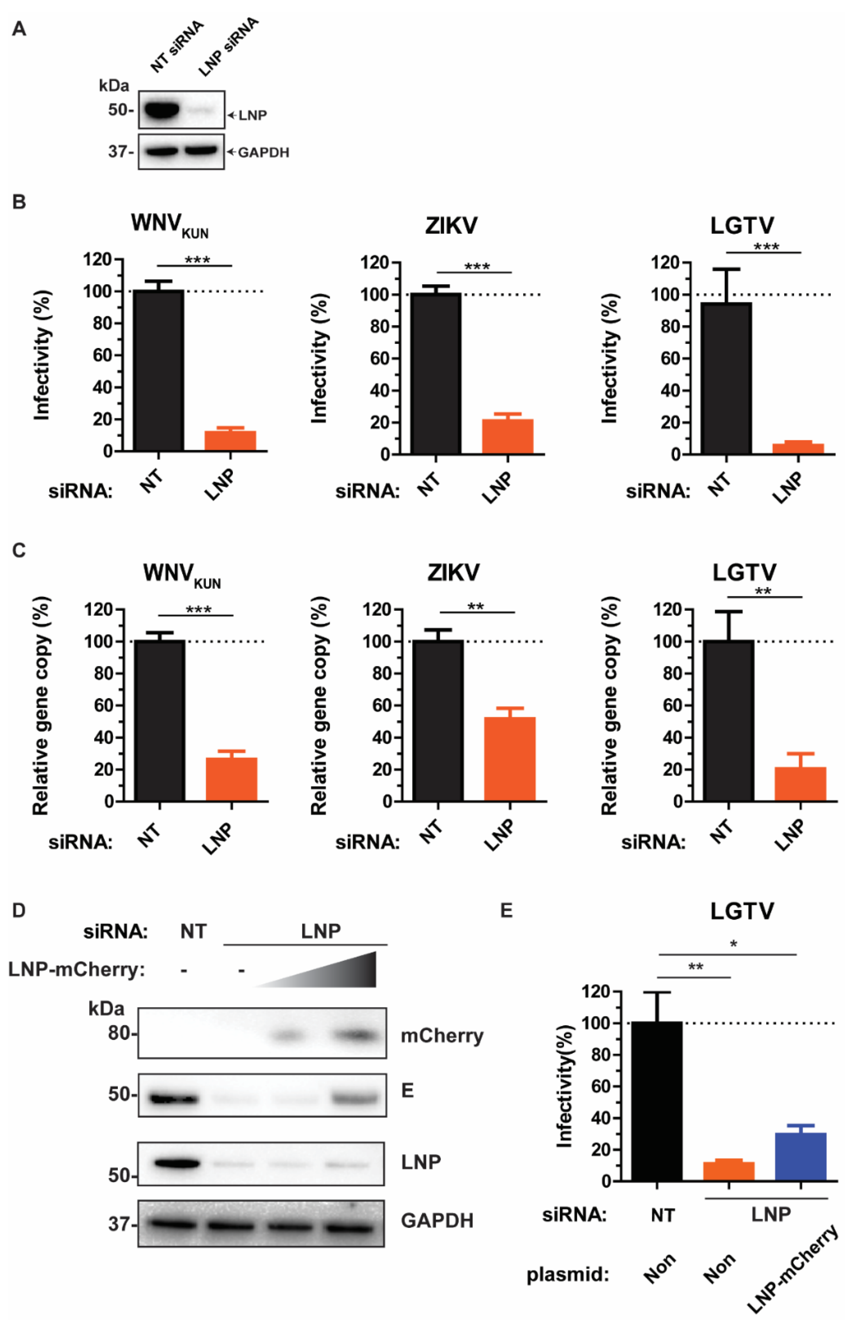 Viruses 13 01198 g001 550