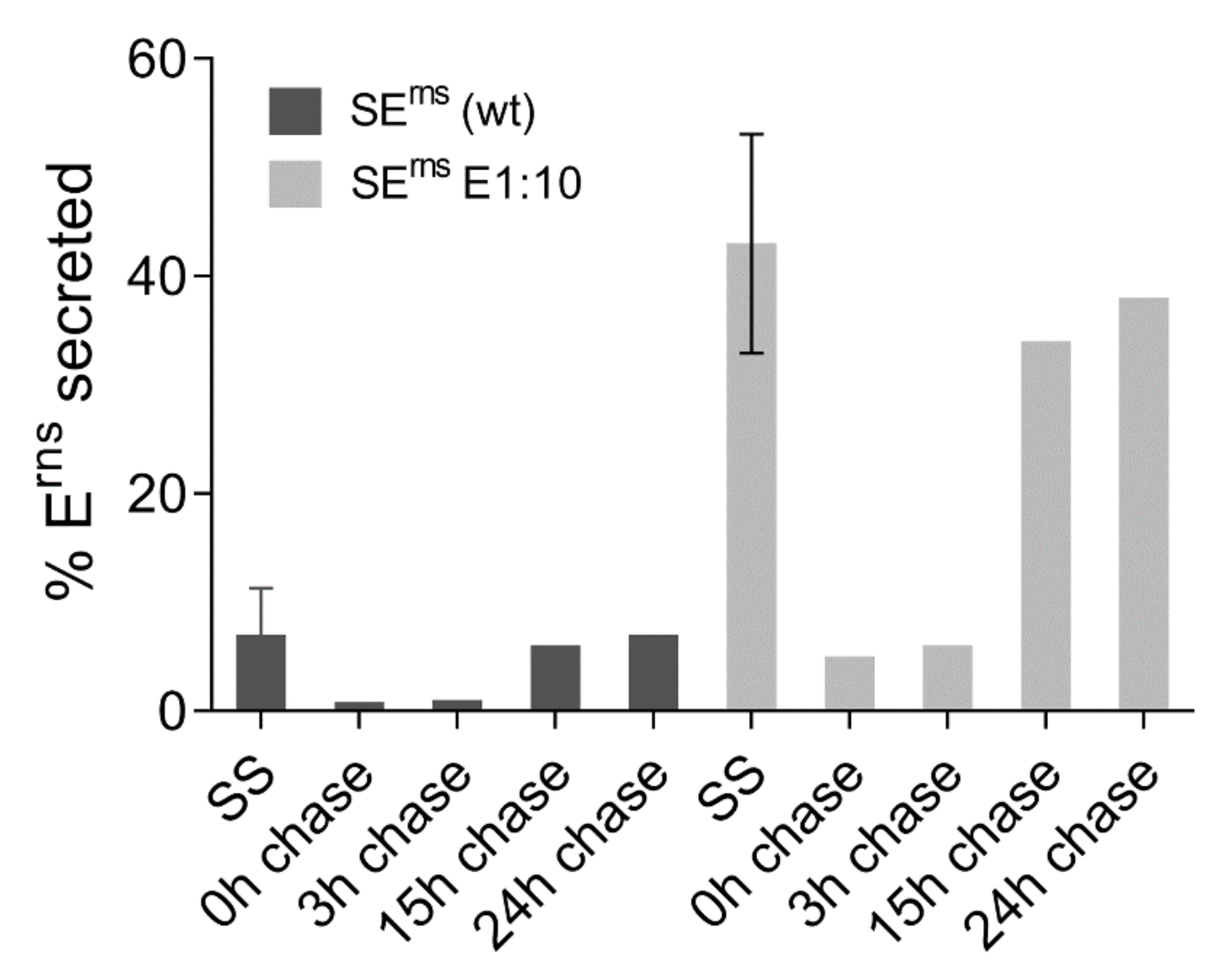 Viruses 13 01203 g009 Viruses 13 01203 g009
