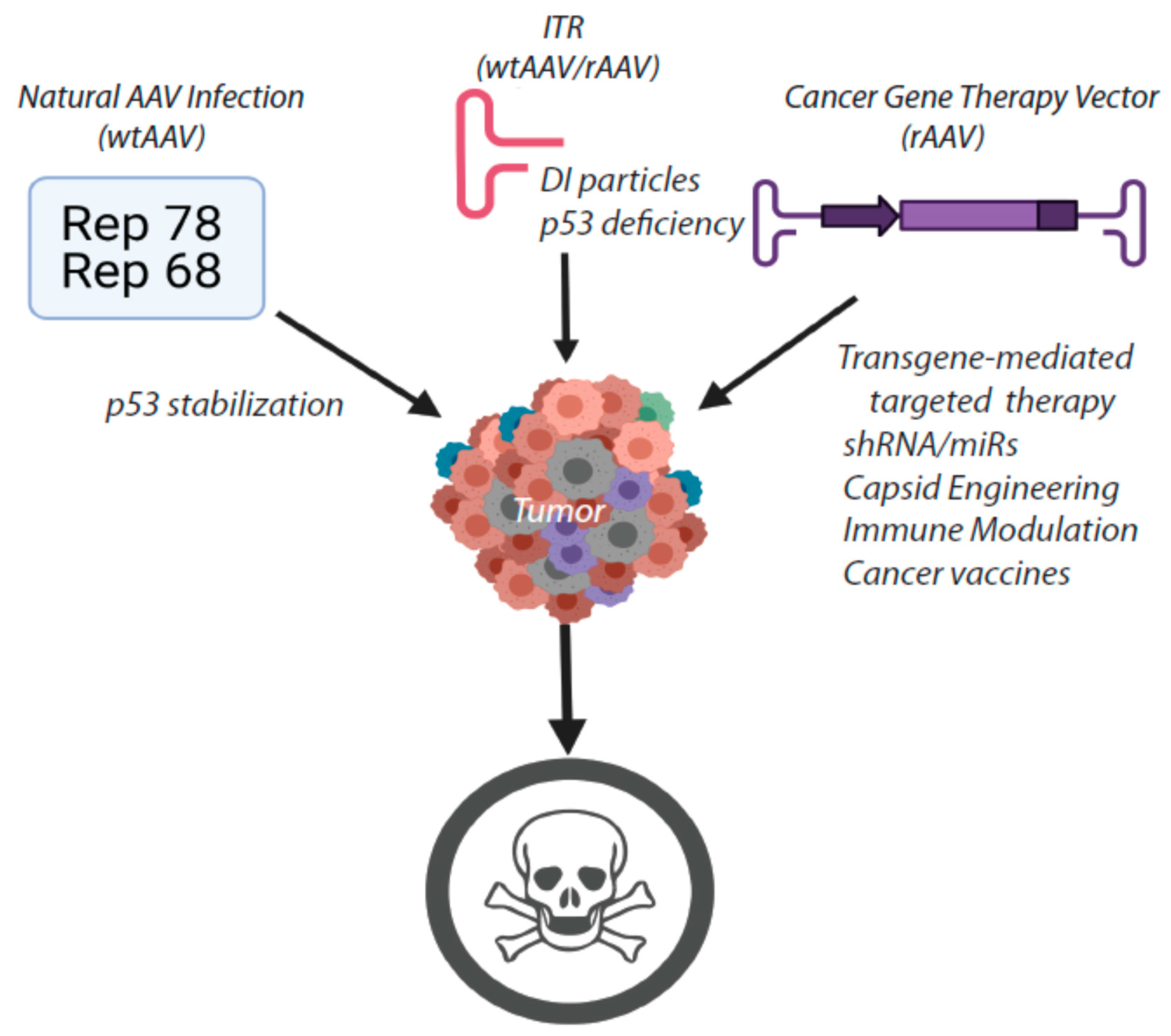 Viruses 13 01205 g002 Viruses 13 01205 g002