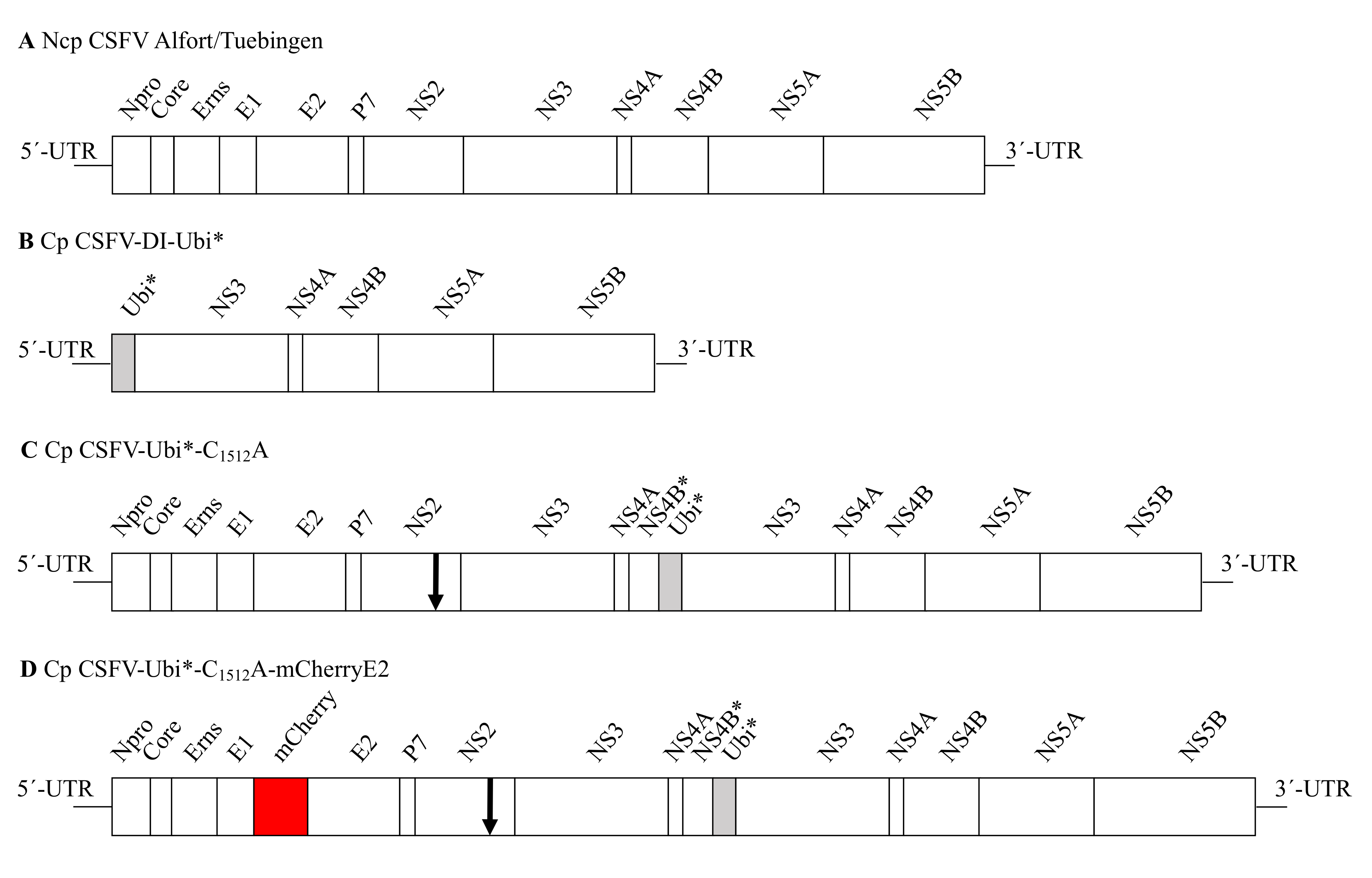 Viruses 13 01209 g001 Viruses 13 01209 g001