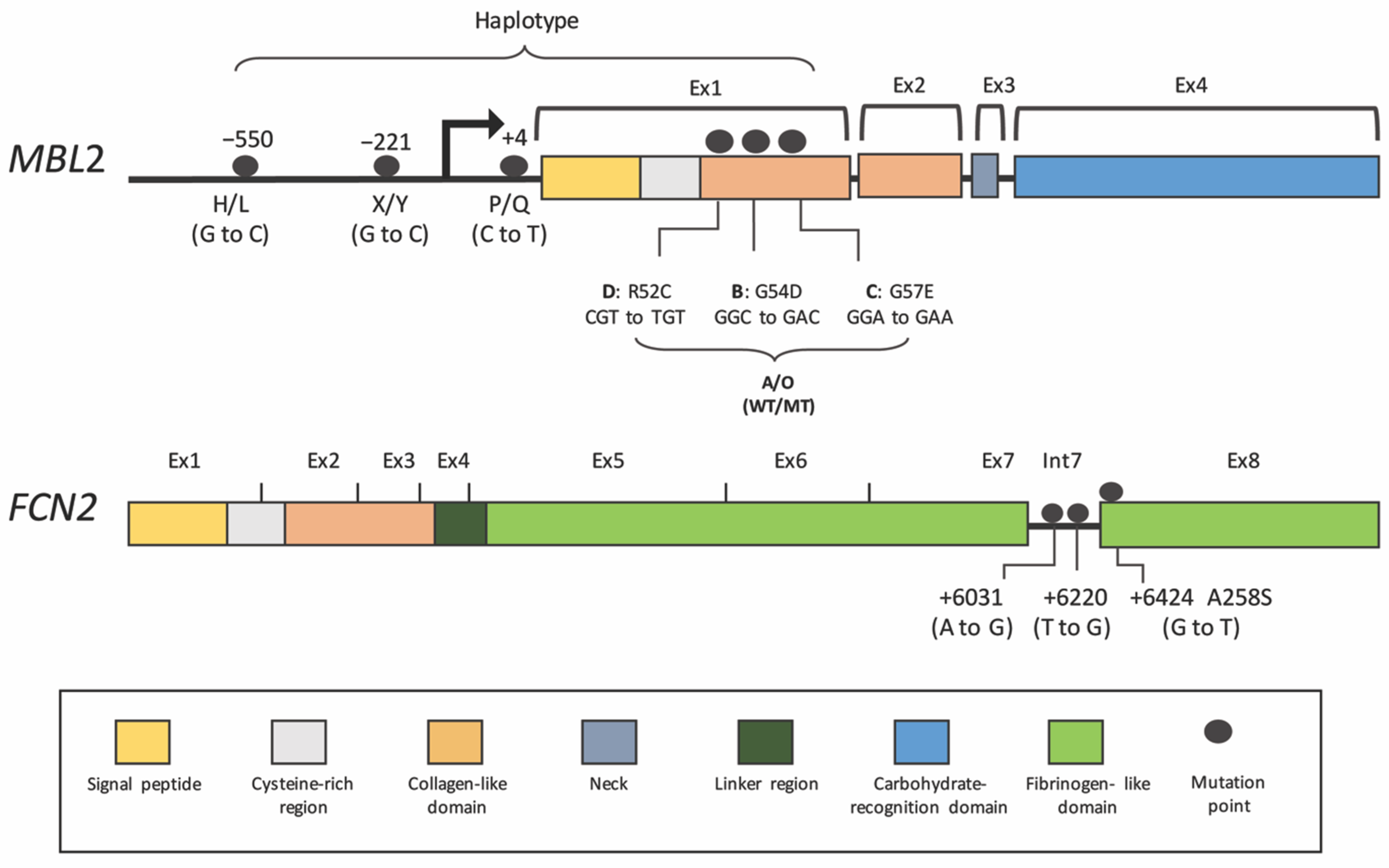 Viruses 13 01219 g003 550