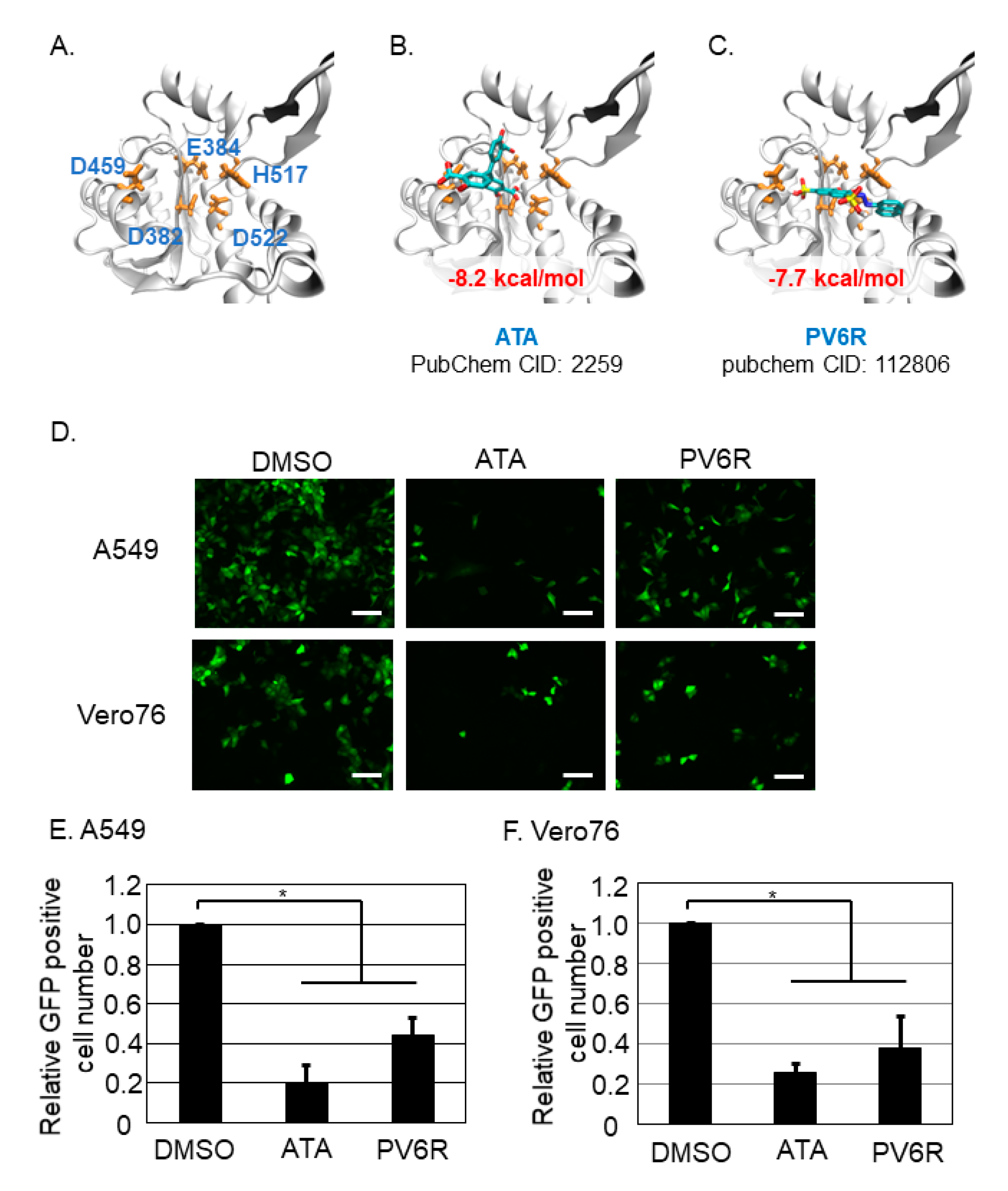 Viruses 13 01220 g002