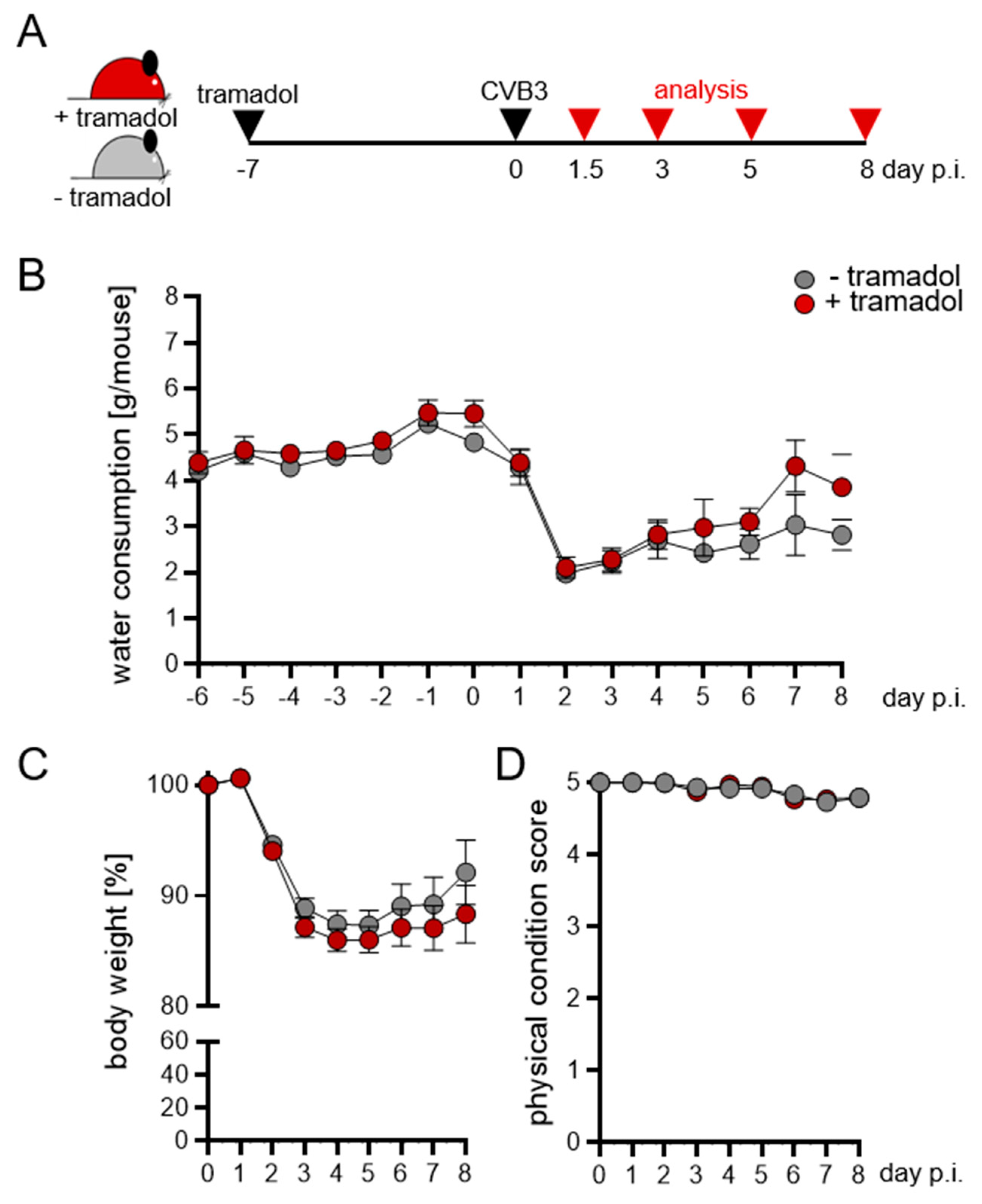 Viruses 13 01222 g001 550