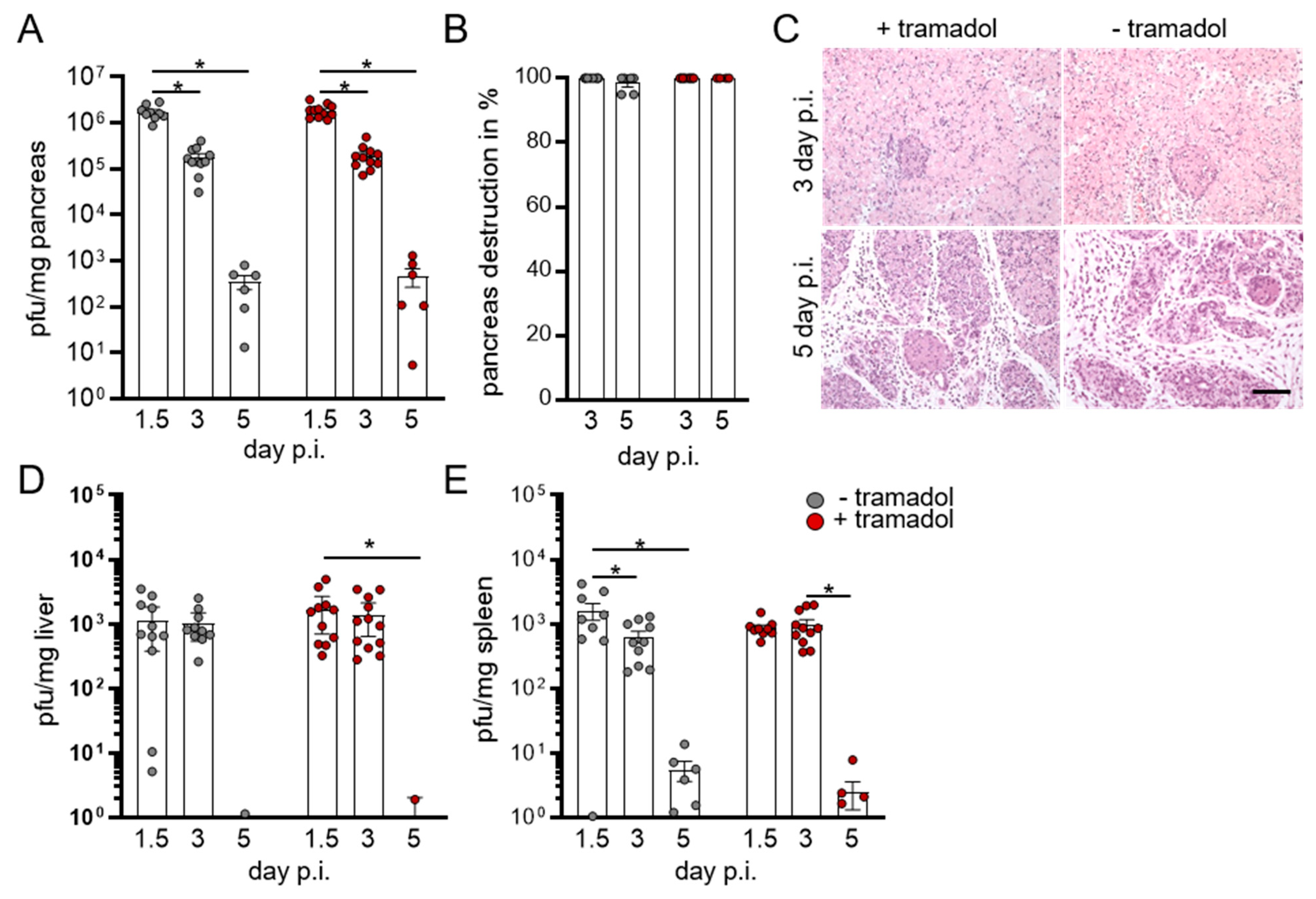 Viruses 13 01222 g002 550