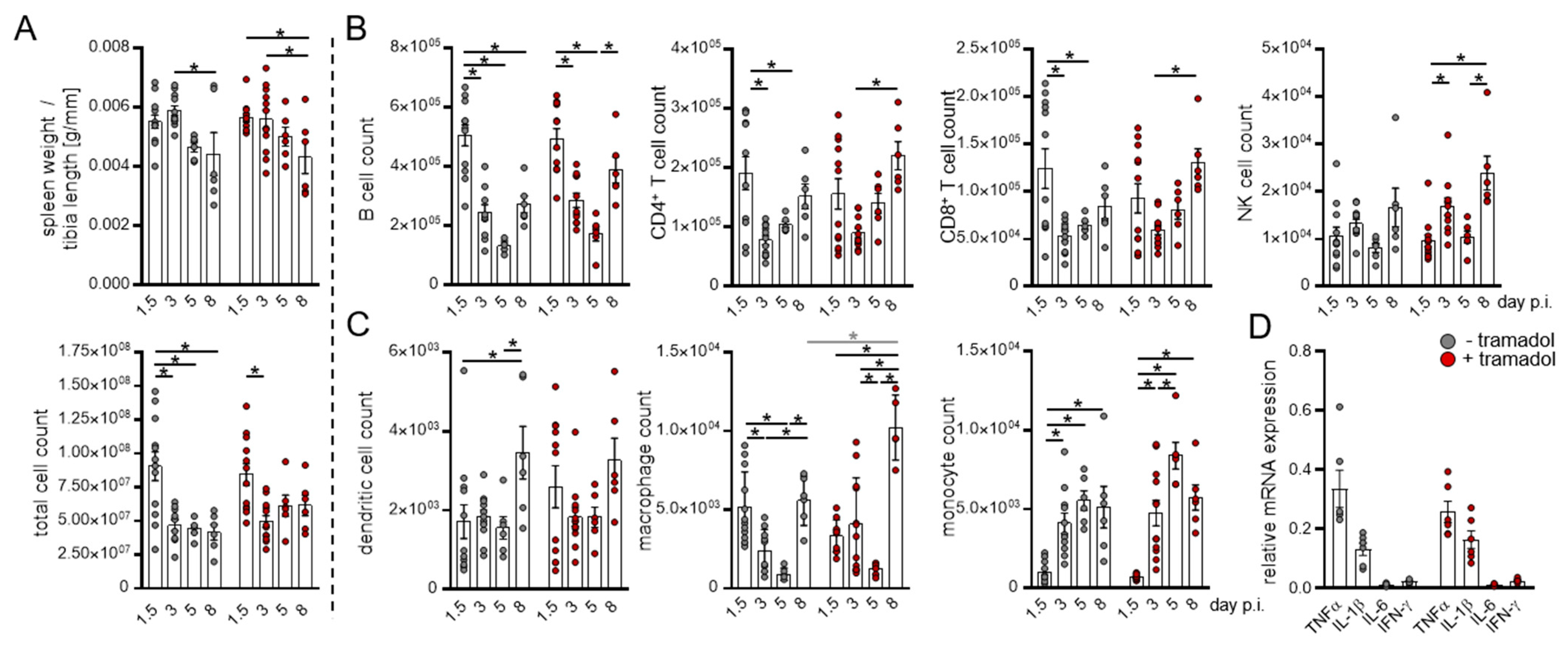 Viruses 13 01222 g004 550