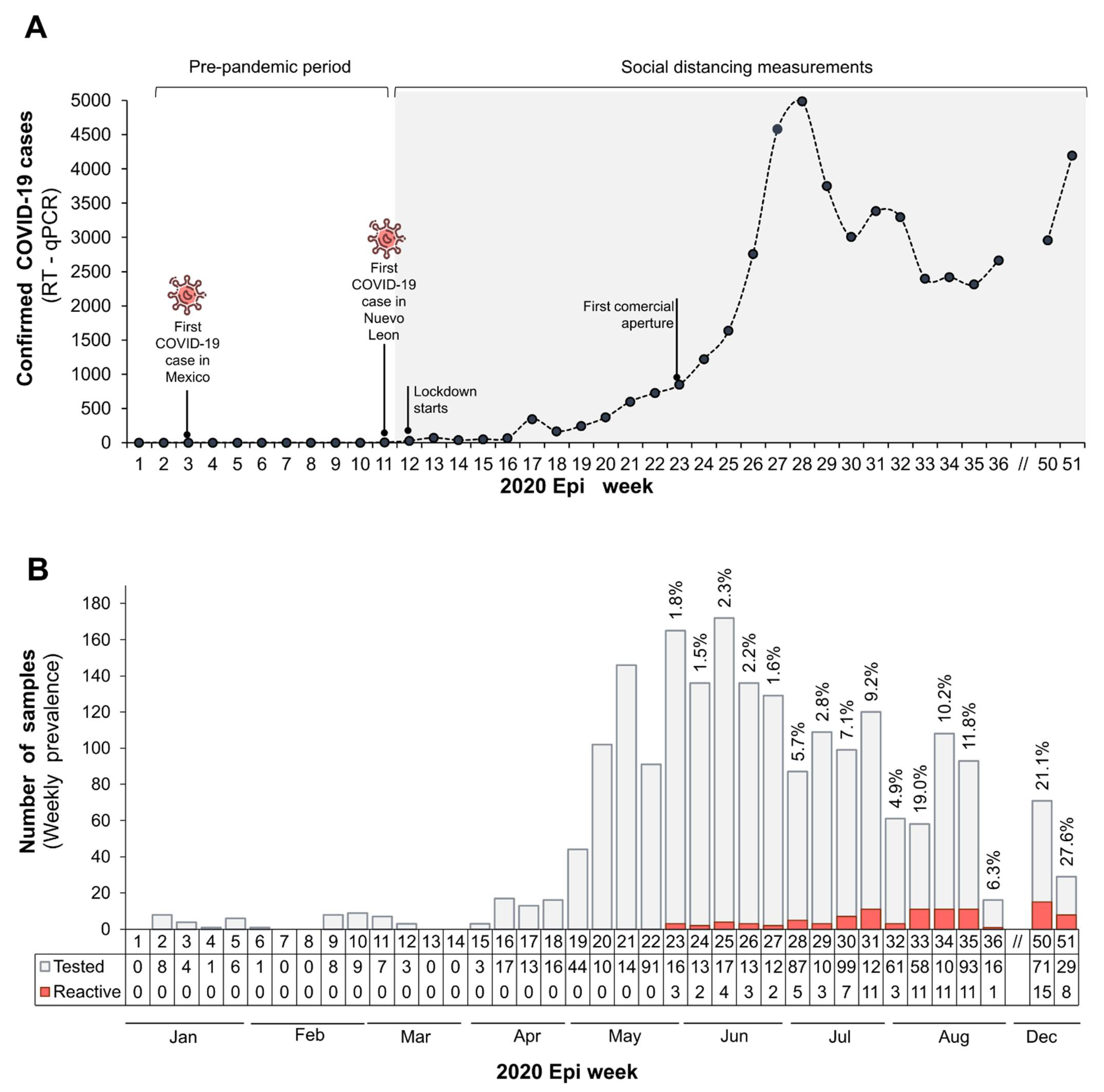 Viruses 13 01225 g001