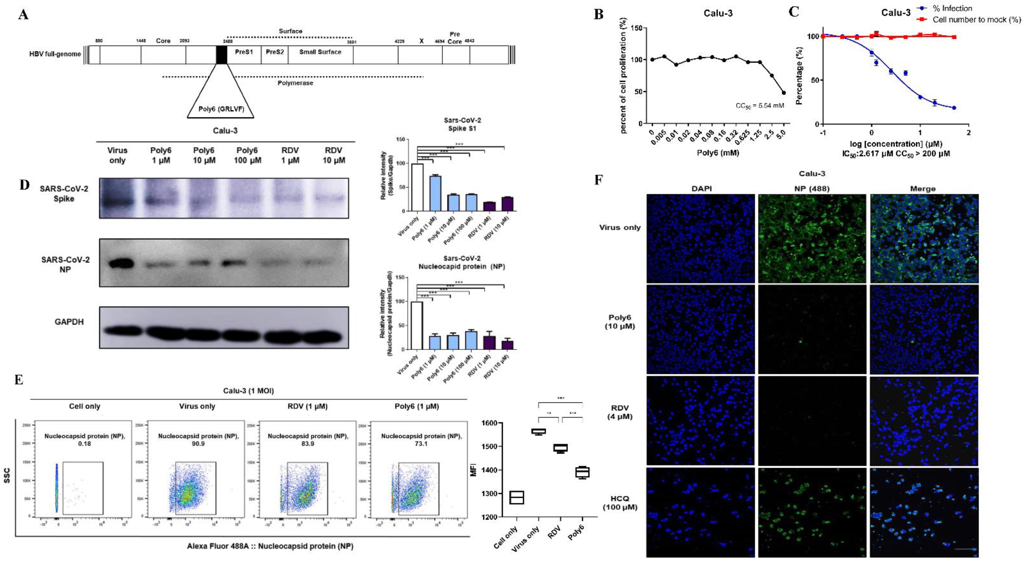 Viruses 13 01227 g001 550
