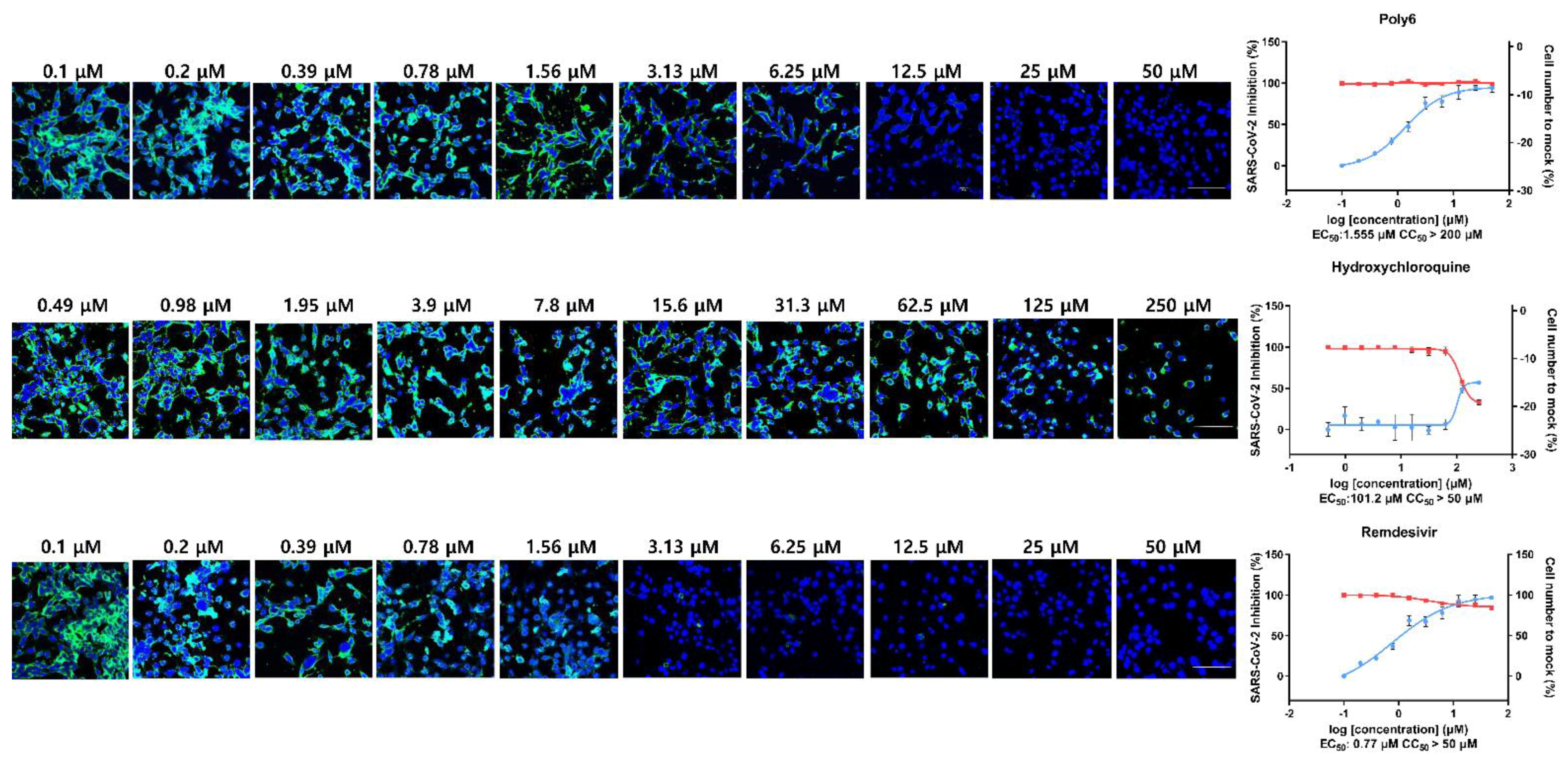 Viruses 13 01227 g002 550