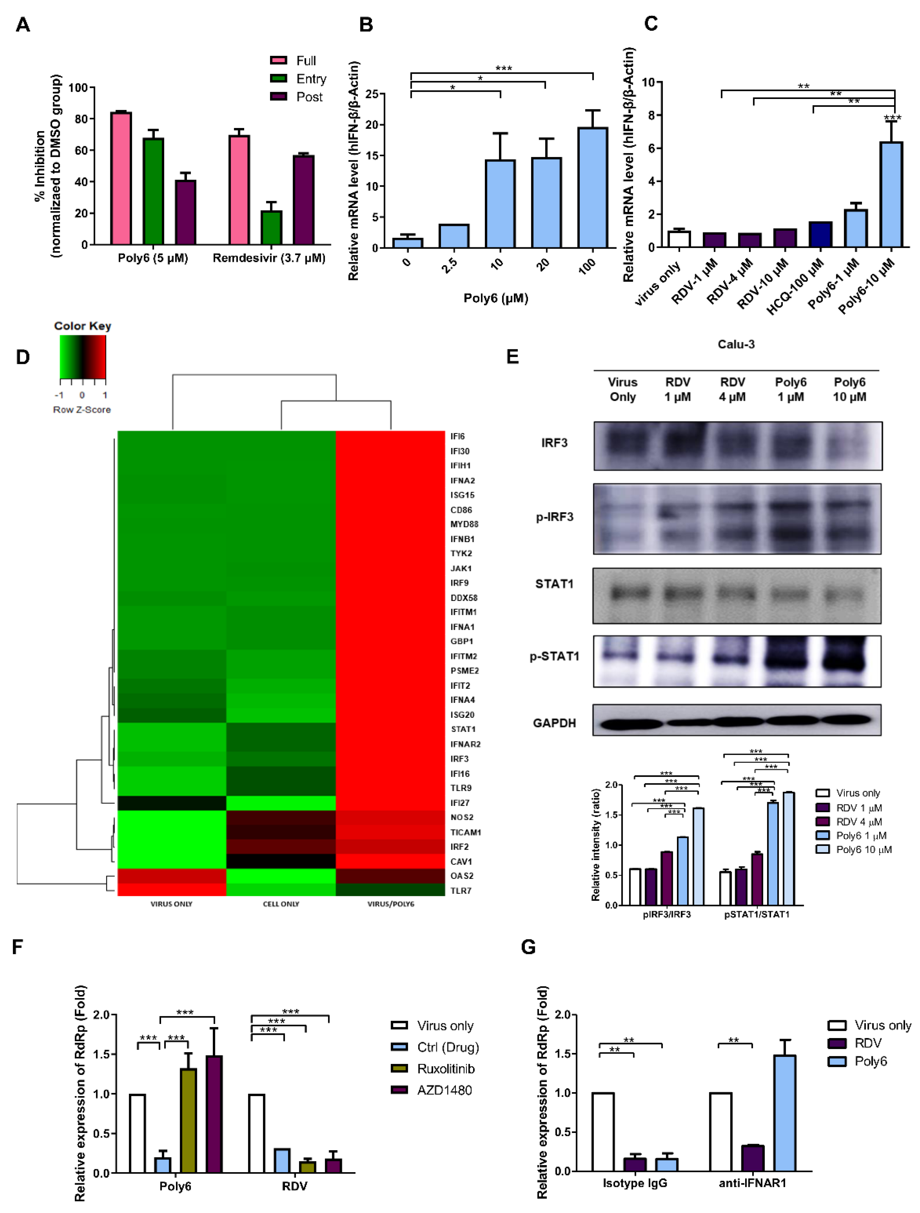 Viruses 13 01227 g004 550