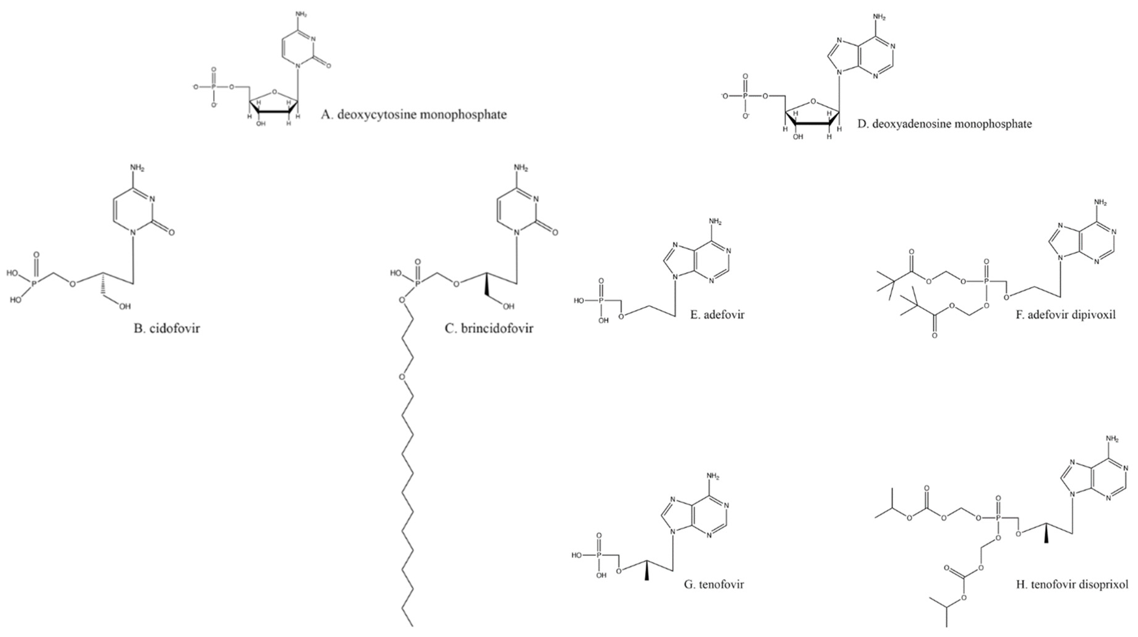 Viruses 13 01228 g002 Viruses 13 01228 g002