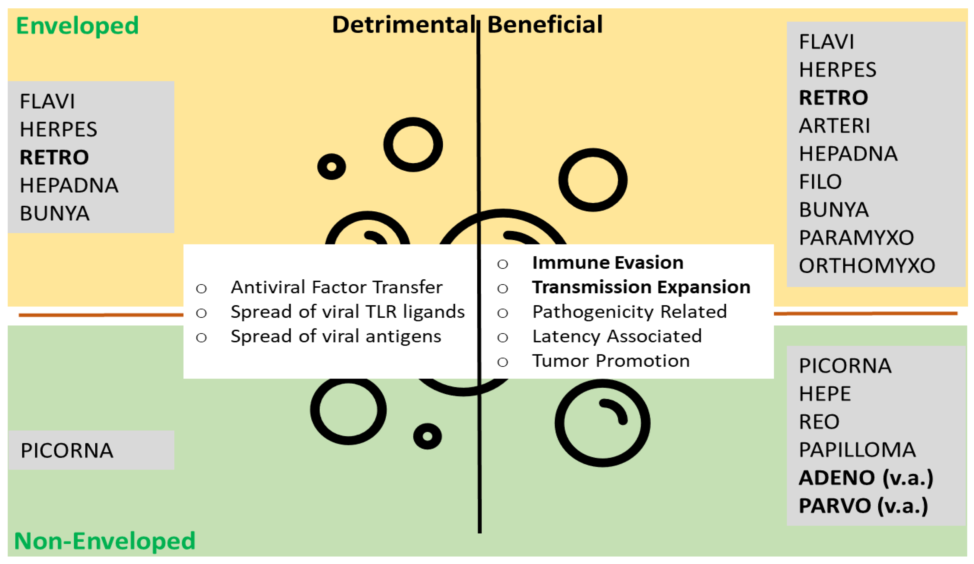 Viruses 13 01238 g002