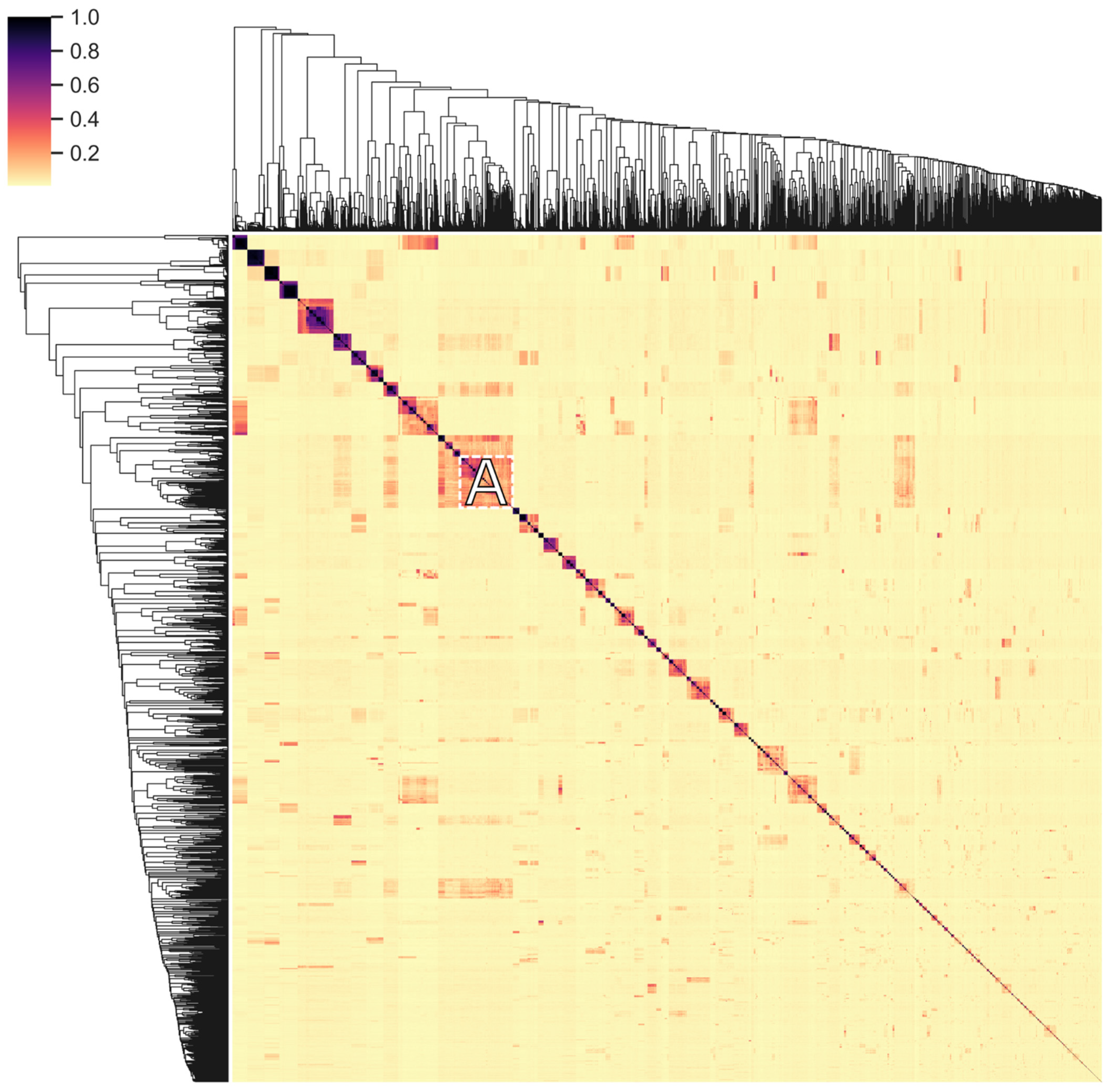 Viruses 13 01240 g008 550