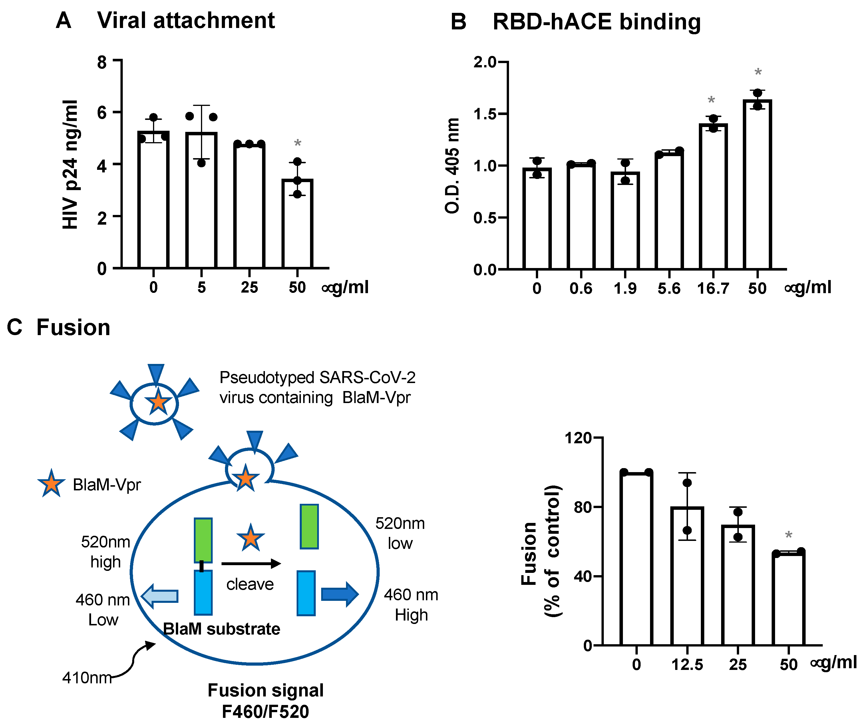 Viruses 13 01246 g006 550