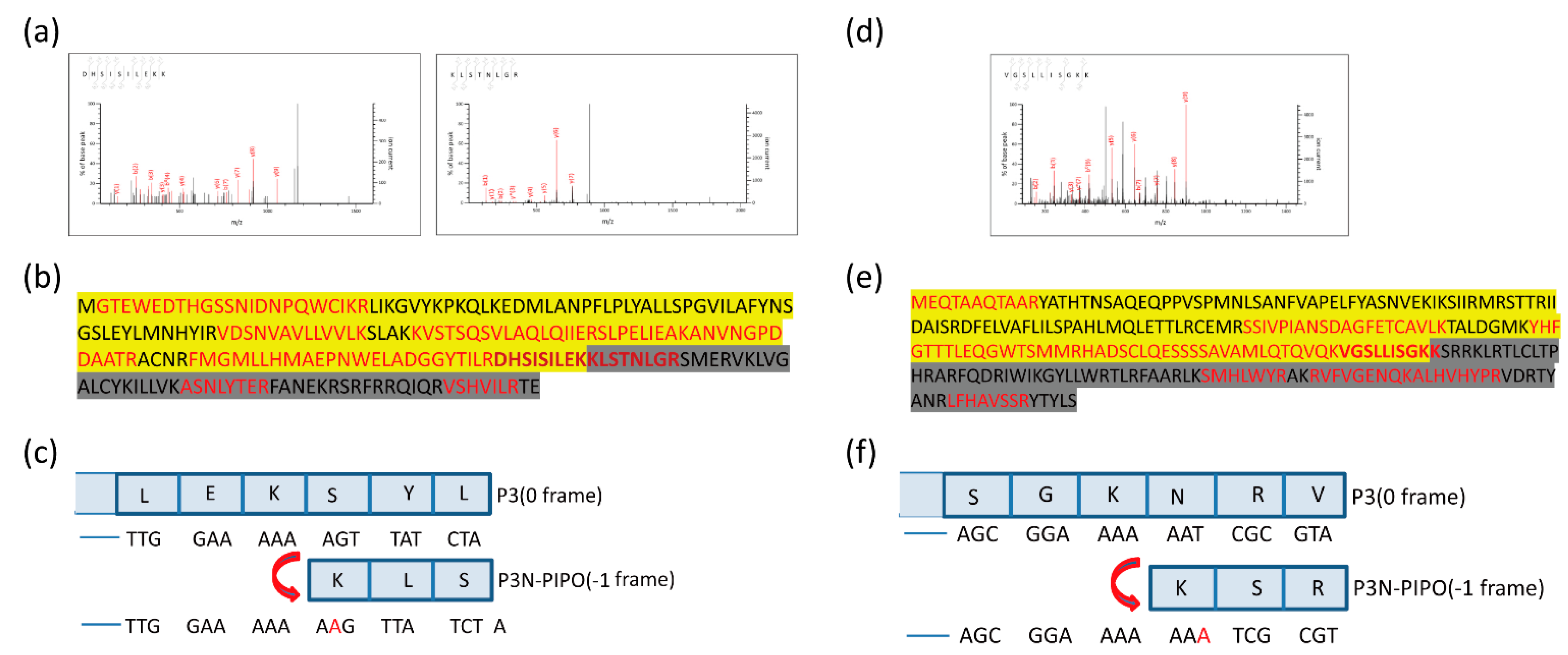 Viruses 13 01247 g003 Viruses 13 01247 g003