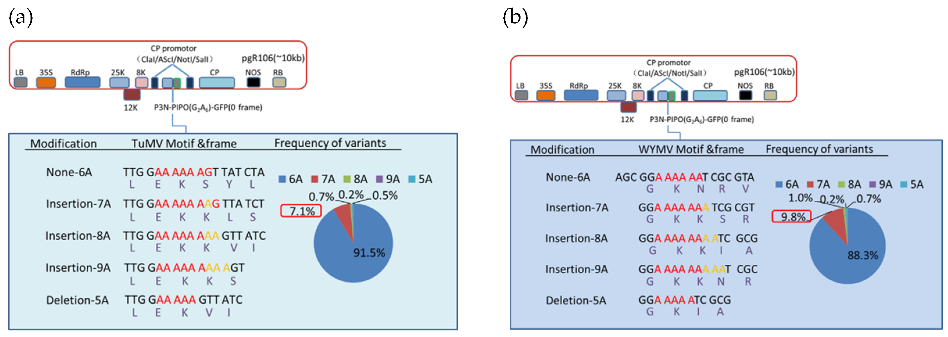 Viruses 13 01247 g004 Viruses 13 01247 g004