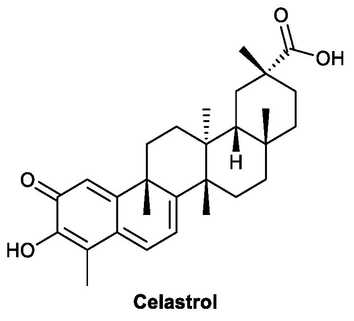 Viruses 13 01257 g004 550