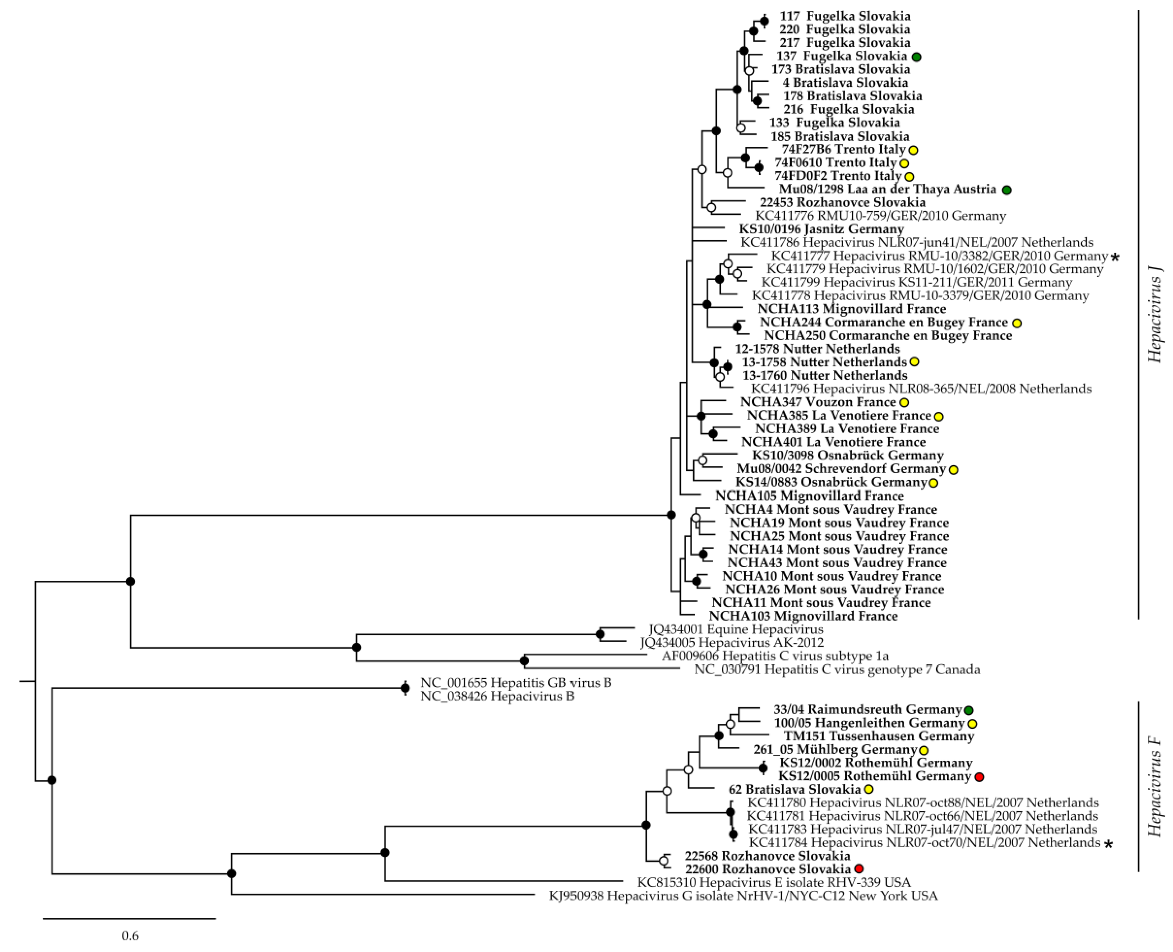 Viruses 13 01258 g002 550