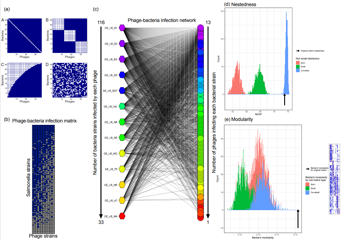 Viruses 13 01261 g005 Viruses 13 01261 g005