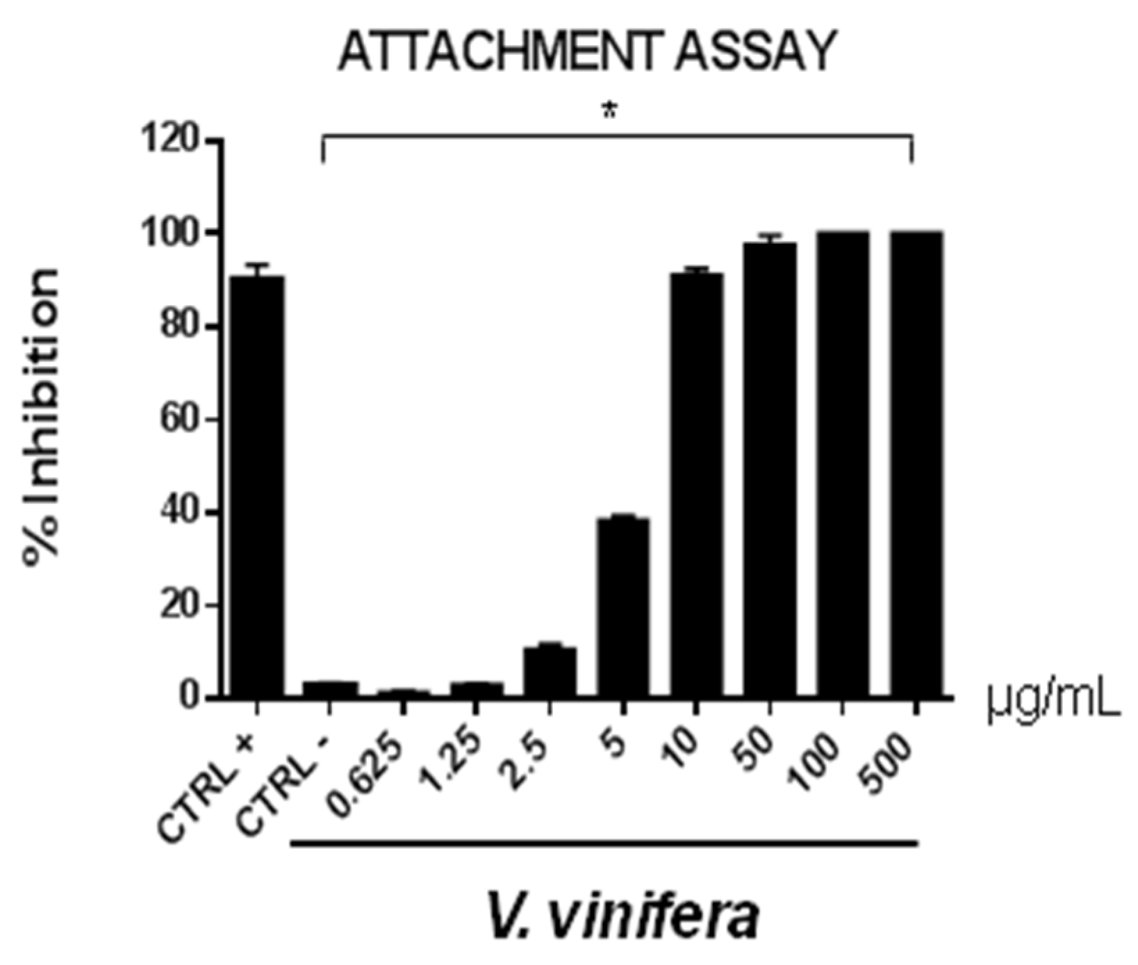 Viruses 13 01263 g006