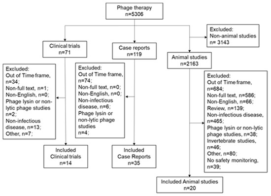 Pyobacteriophage cystitis