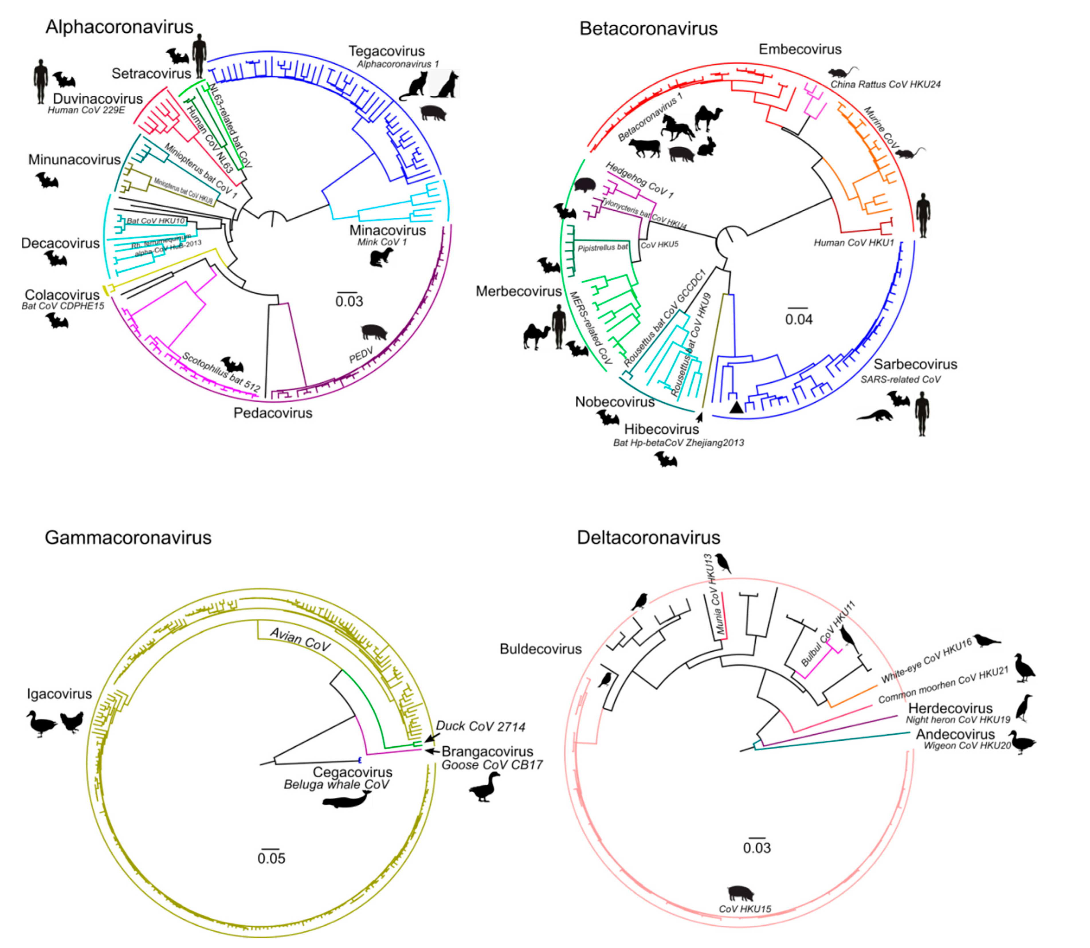 Viruses 13 01270 g002