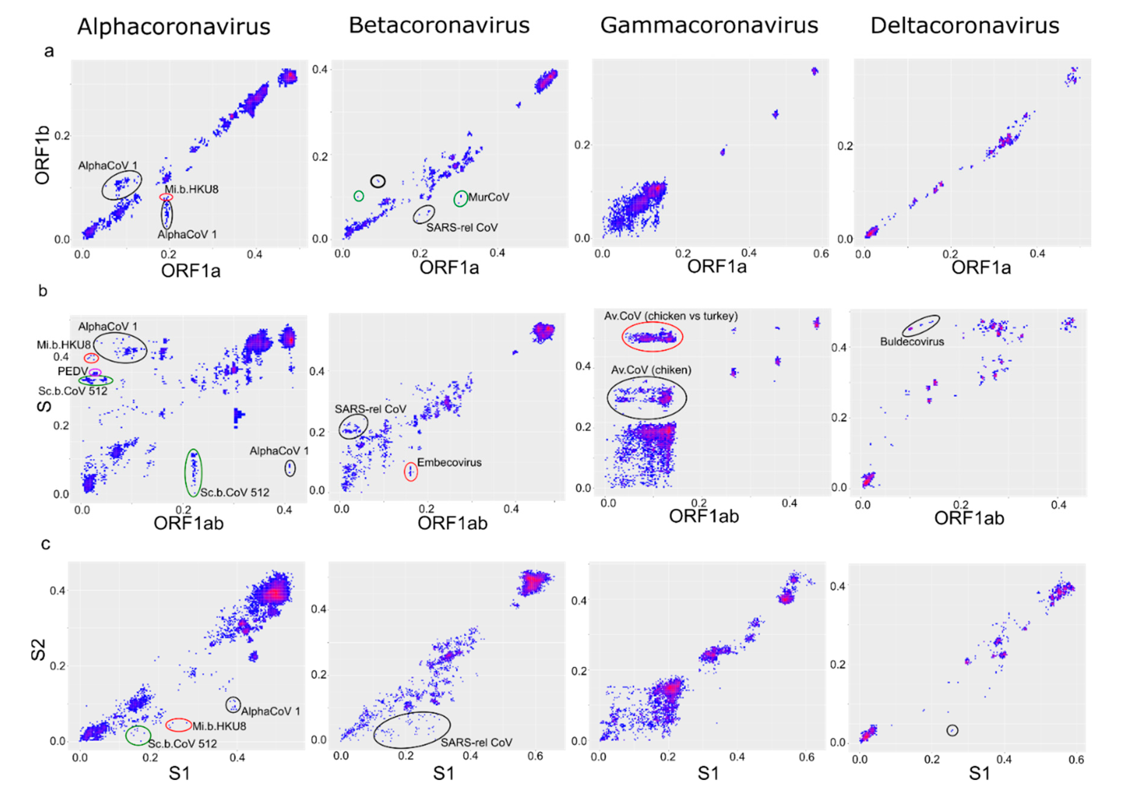 Viruses 13 01270 g005
