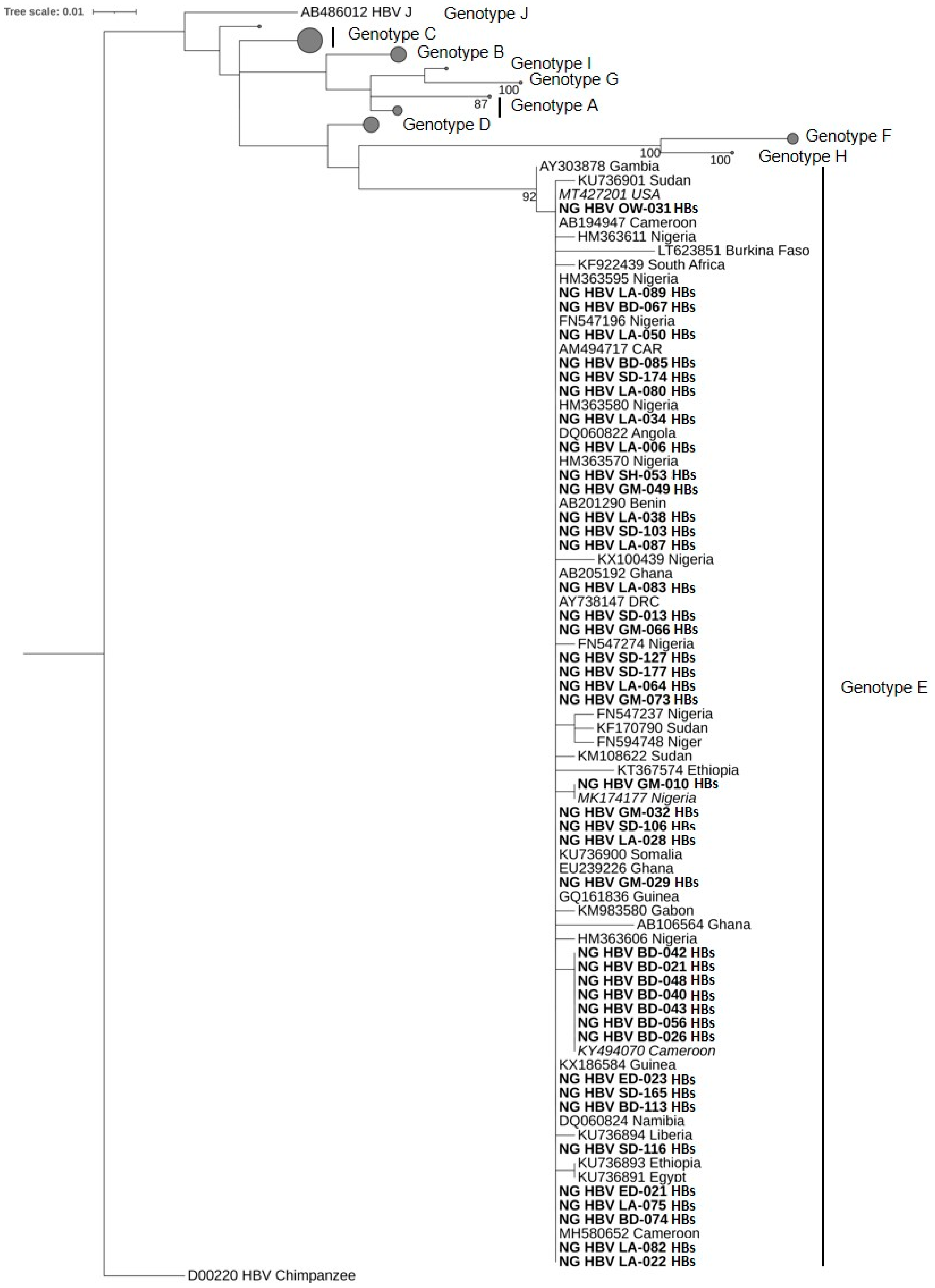 Viruses 13 01273 g001 Viruses 13 01273 g001