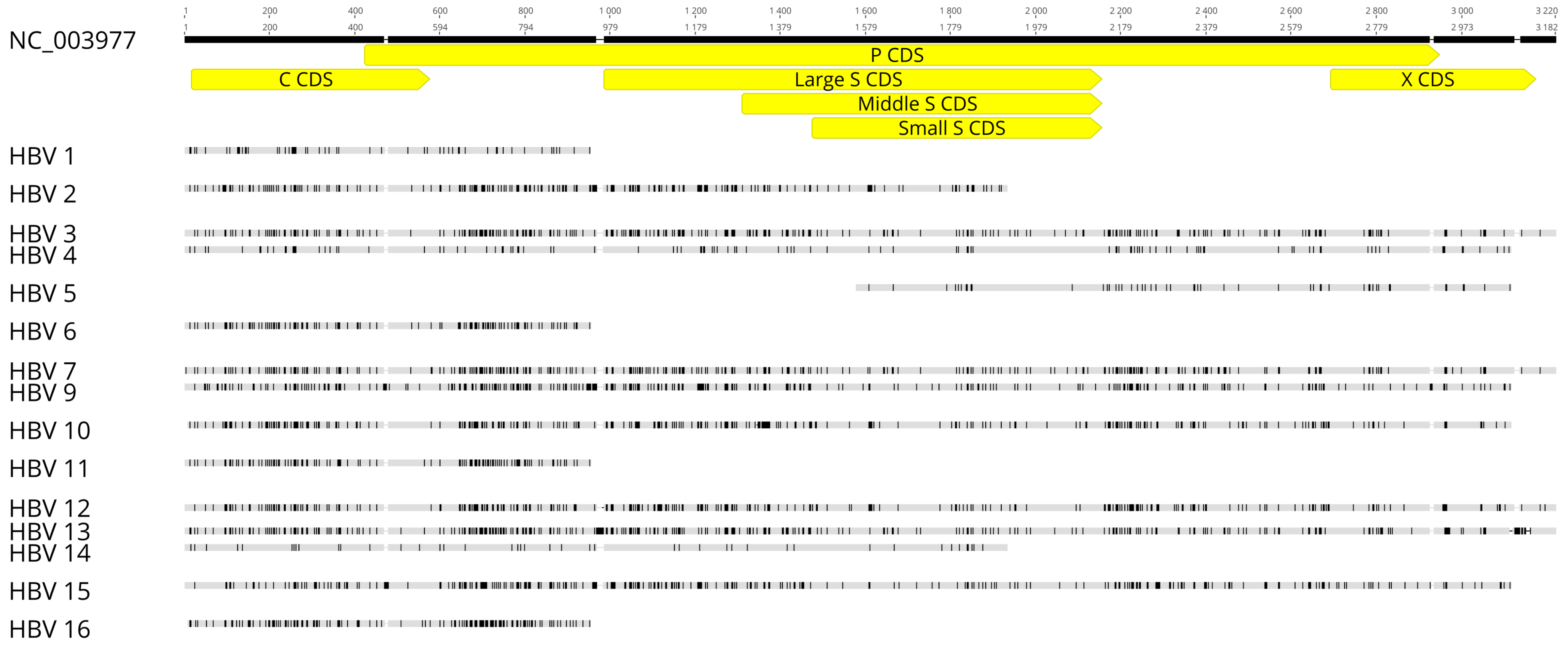 Viruses 13 01275 g001