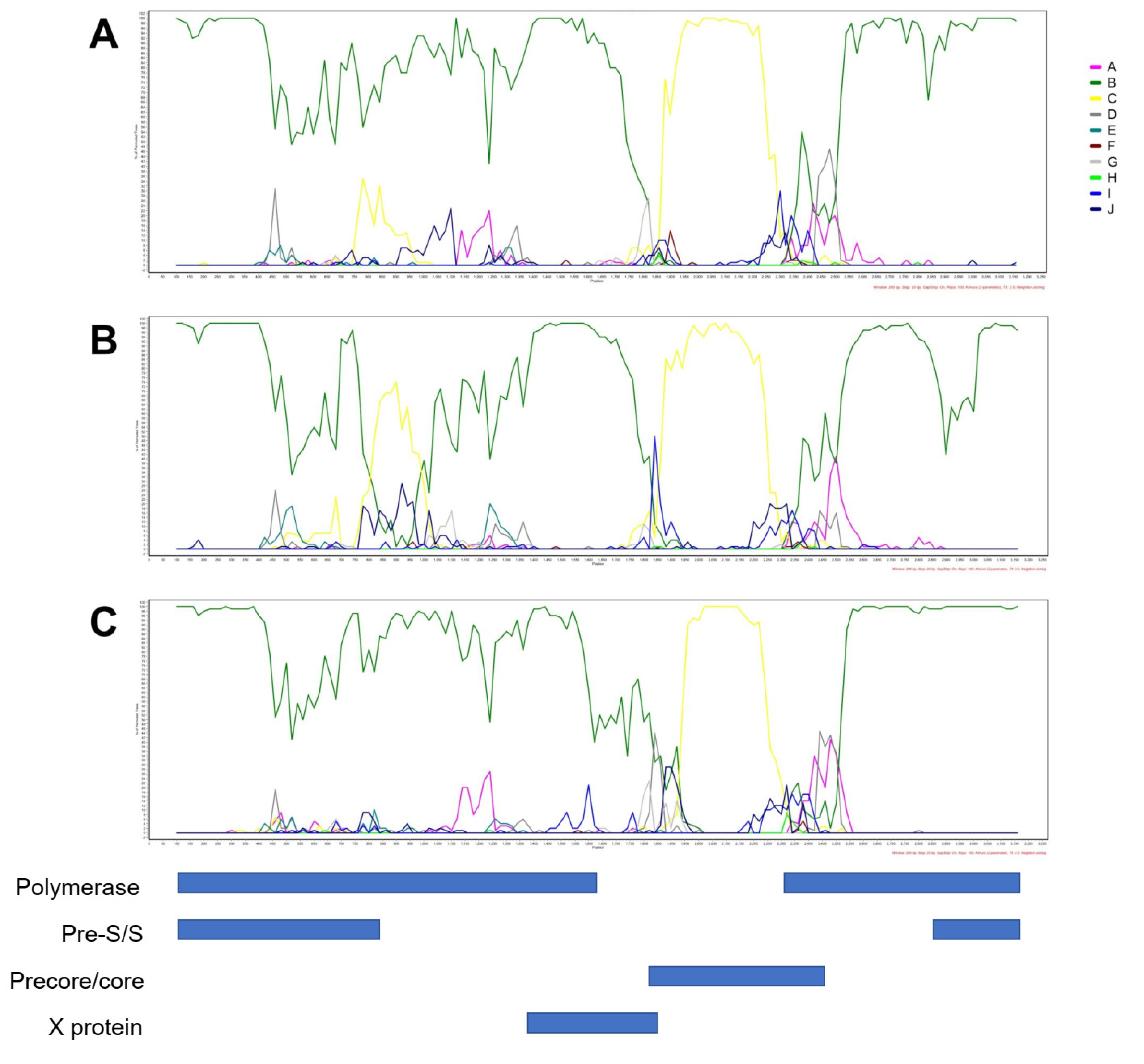 Viruses 13 01275 g002