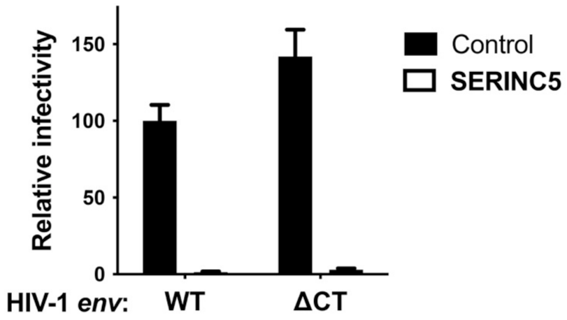 Viruses 13 01279 g002 Viruses 13 01279 g002