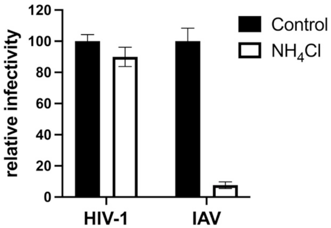 Viruses 13 01279 g003 Viruses 13 01279 g003