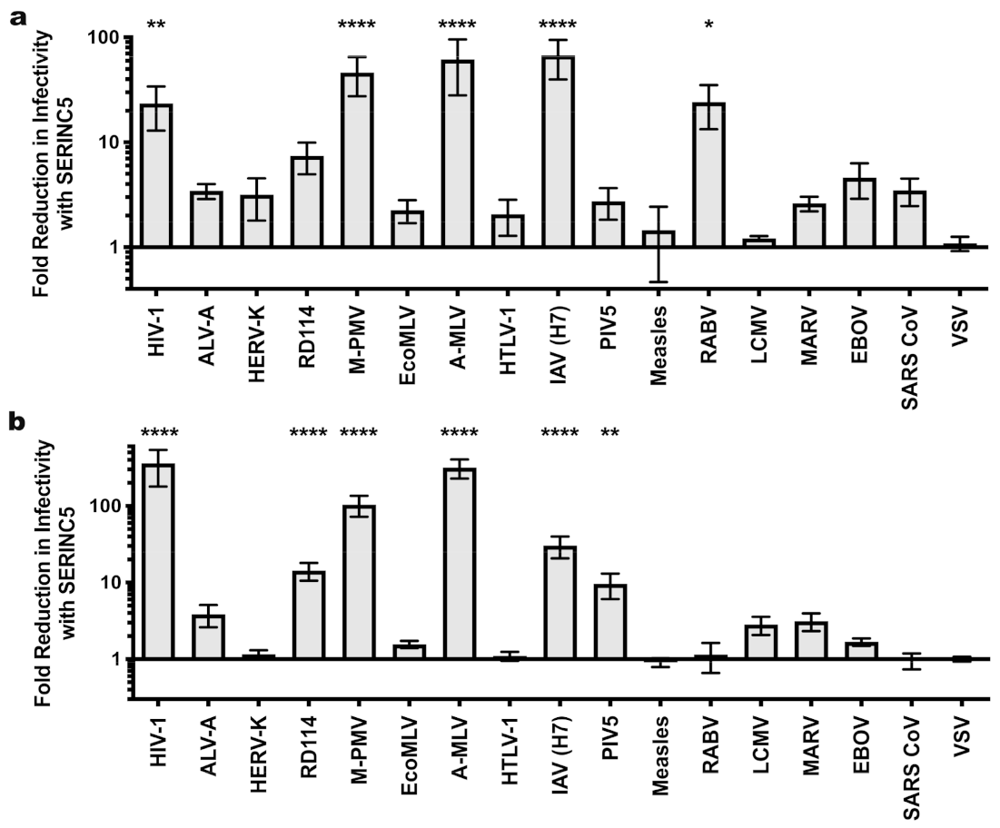 Viruses 13 01279 g005 Viruses 13 01279 g005