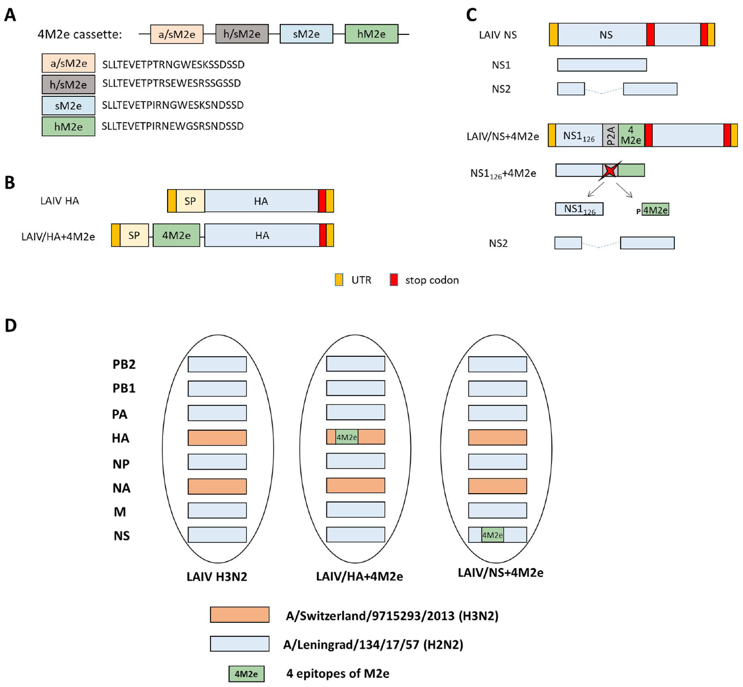 Viruses 13 01280 g001 550