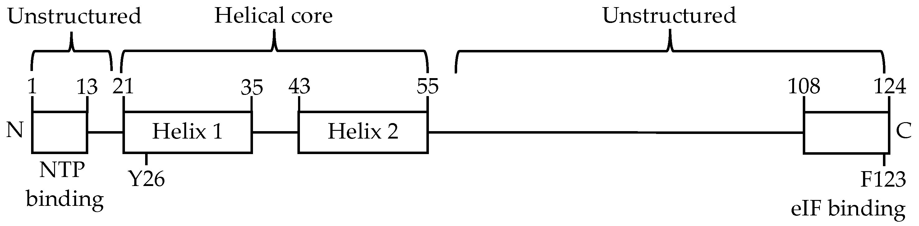 Viruses 13 01282 g001