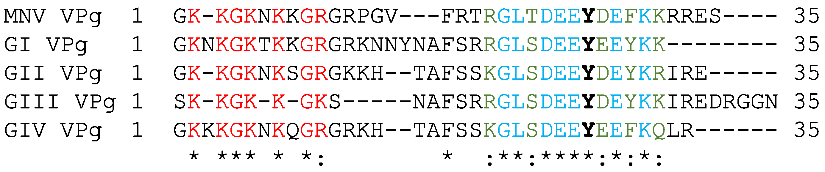 Viruses 13 01282 g007