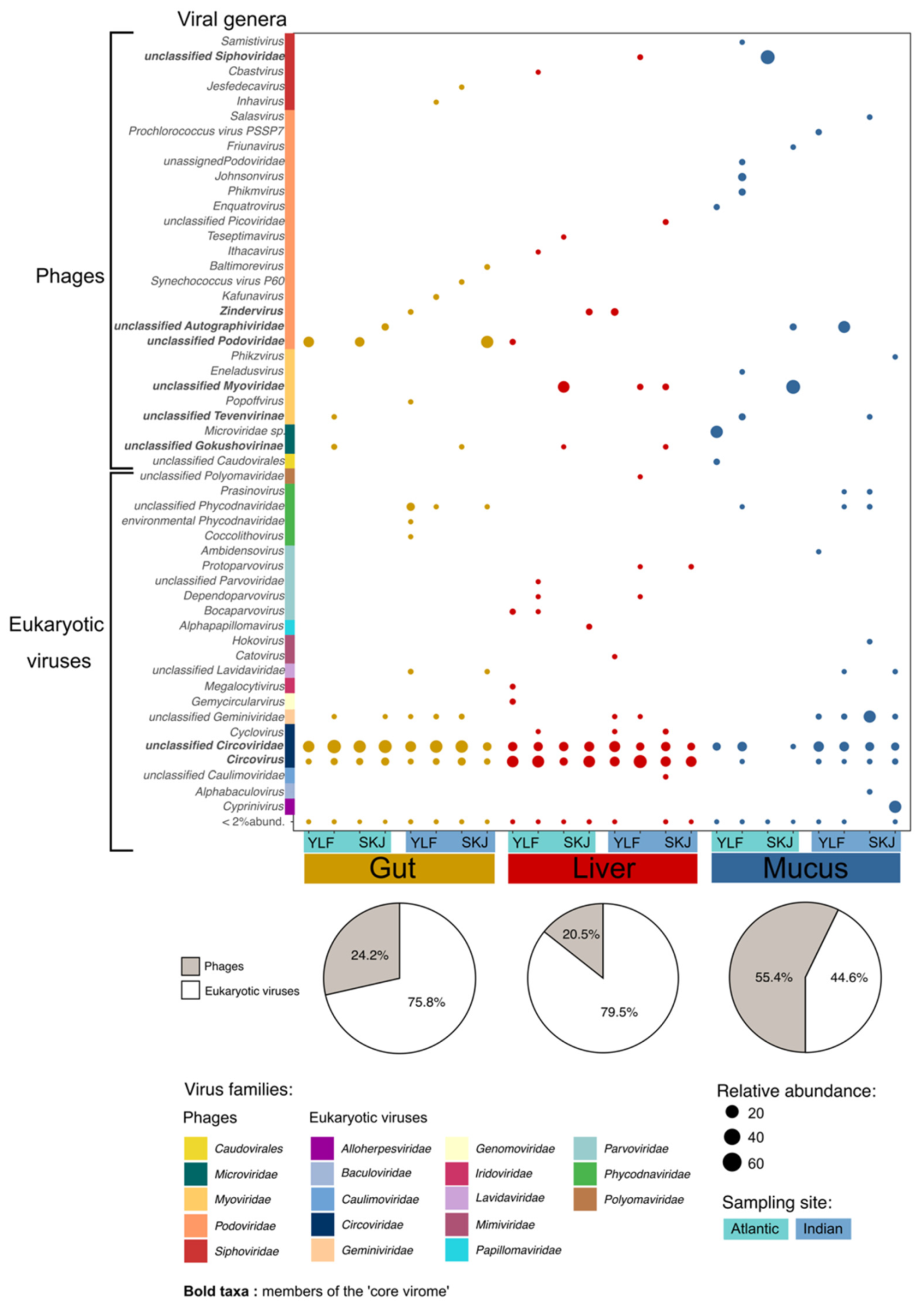 Viruses 13 01291 g001 550