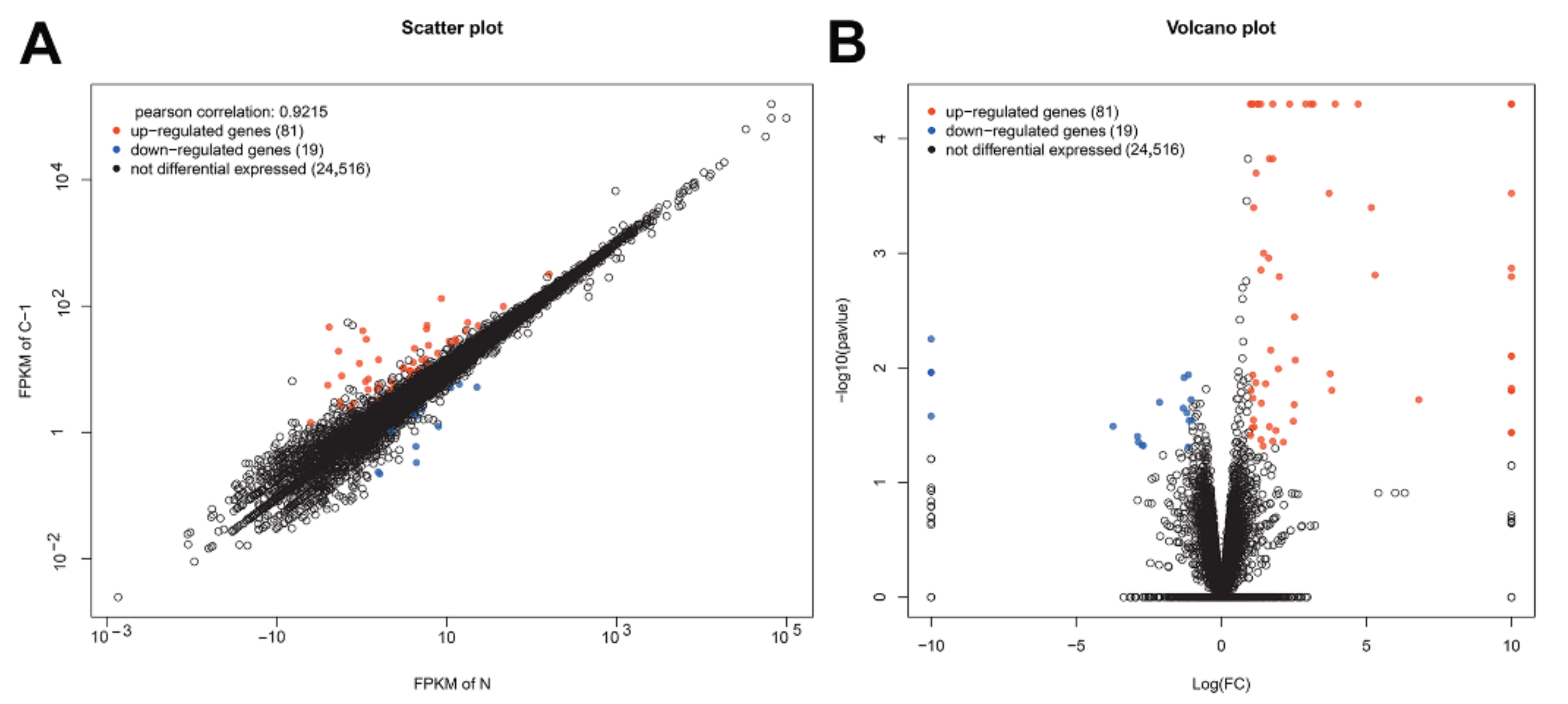 Viruses 13 01293 g001