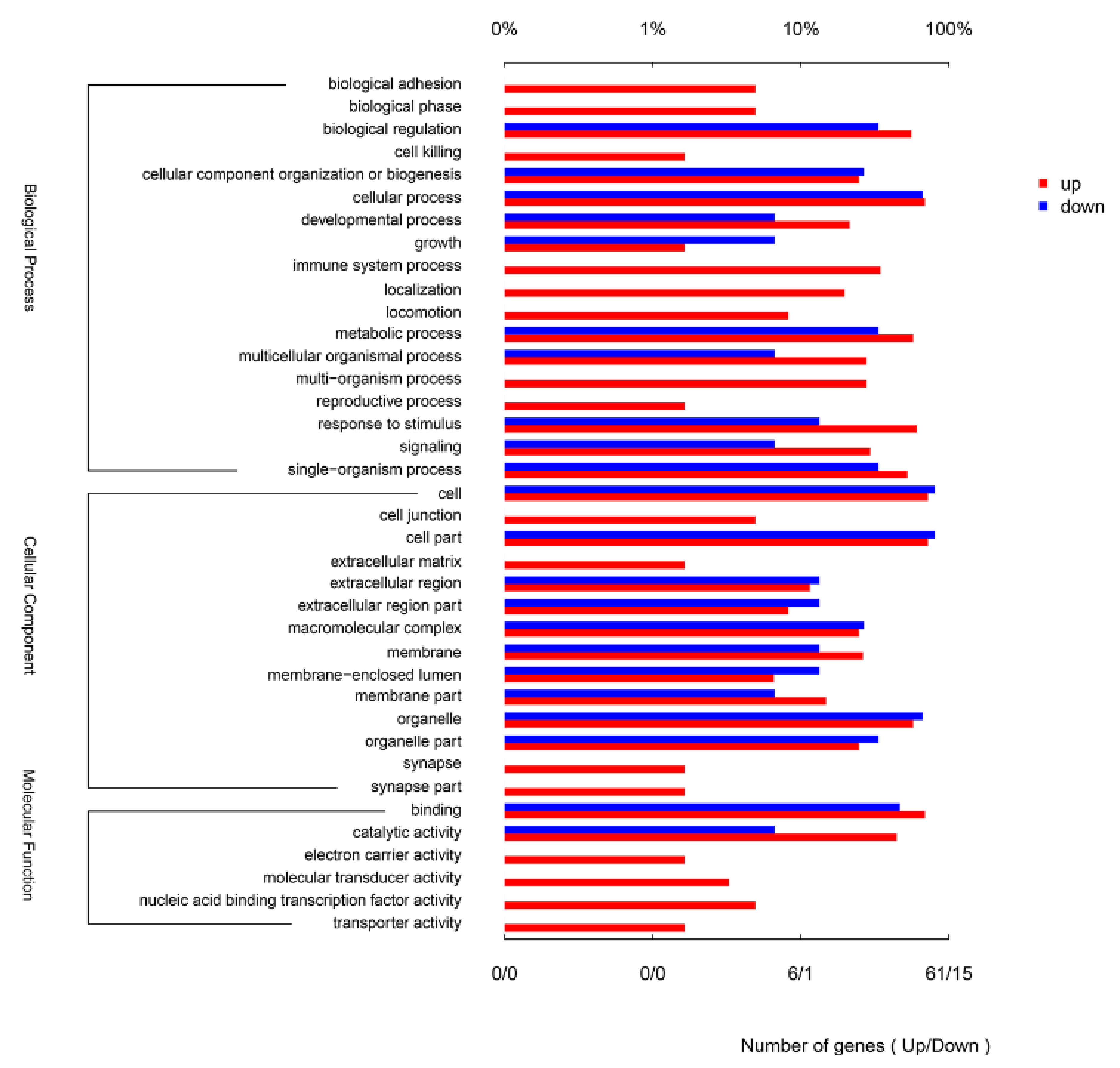 Viruses 13 01293 g002