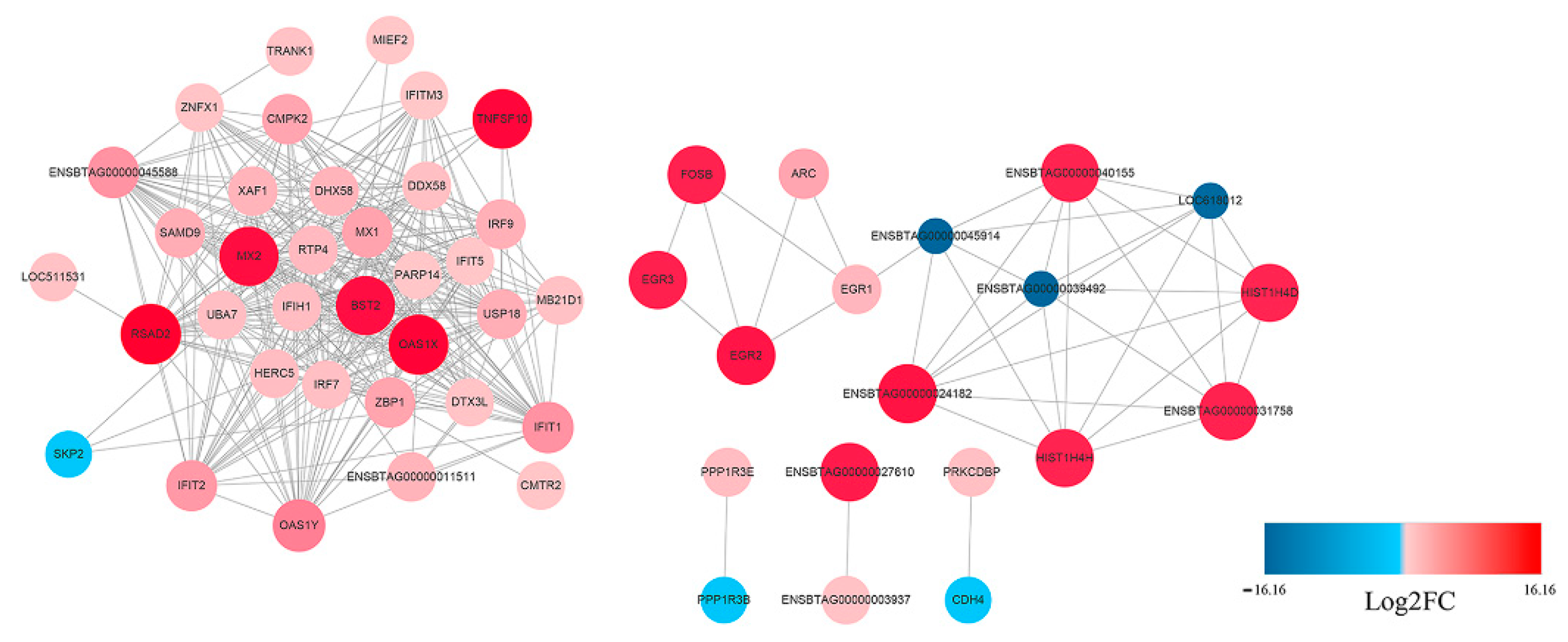 Viruses 13 01293 g005