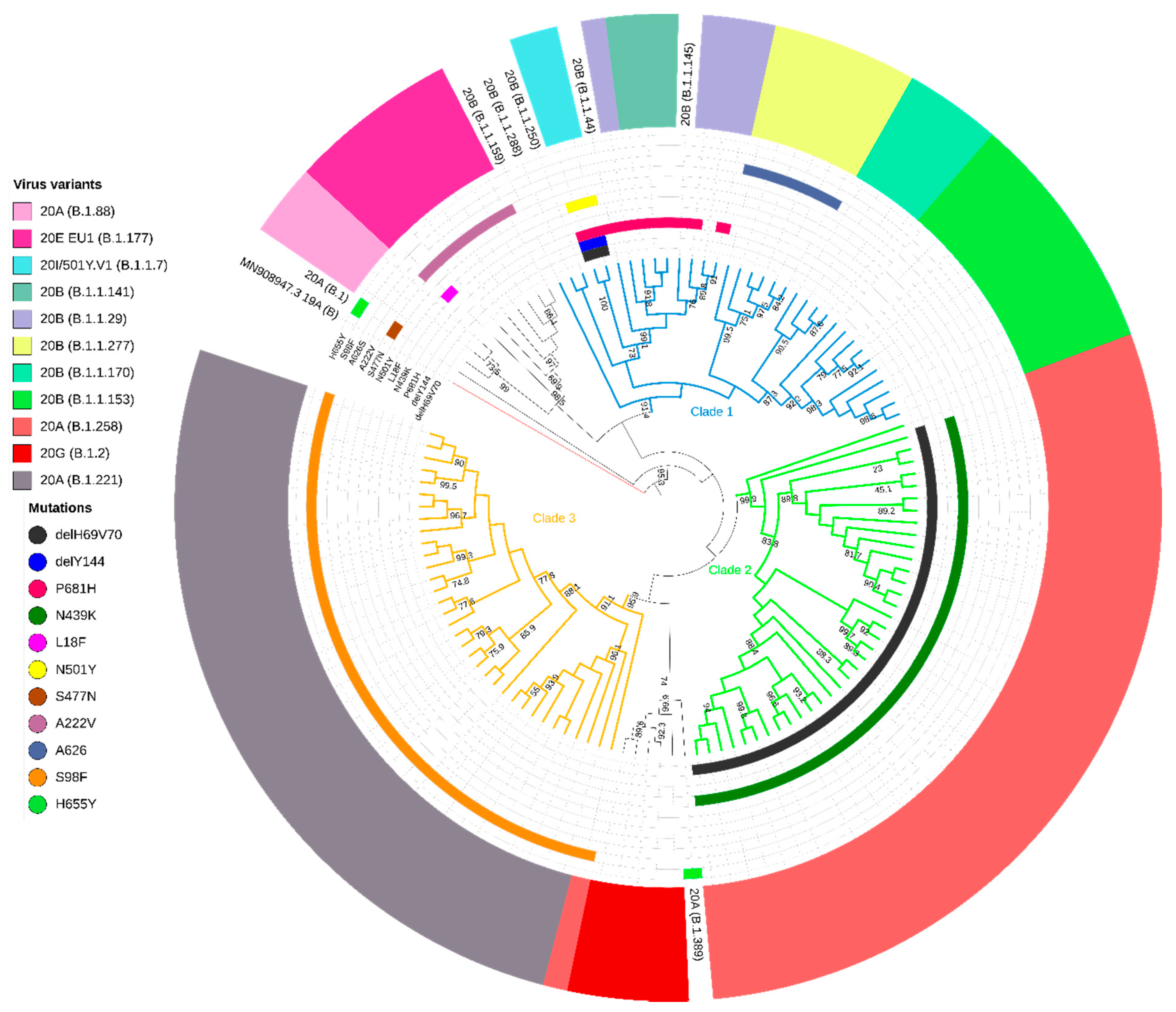 Viruses 13 01295 g002