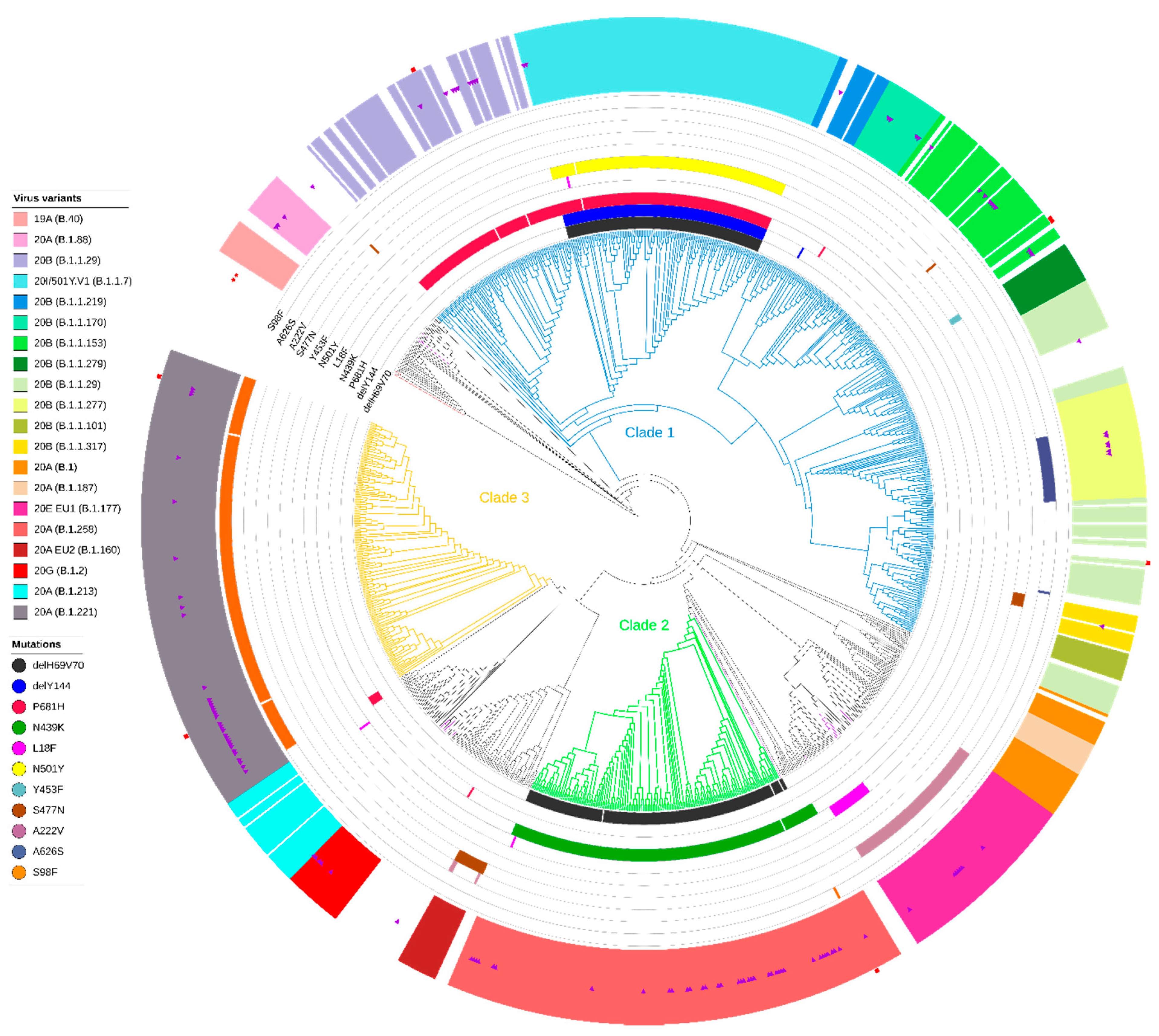 Viruses 13 01295 g003