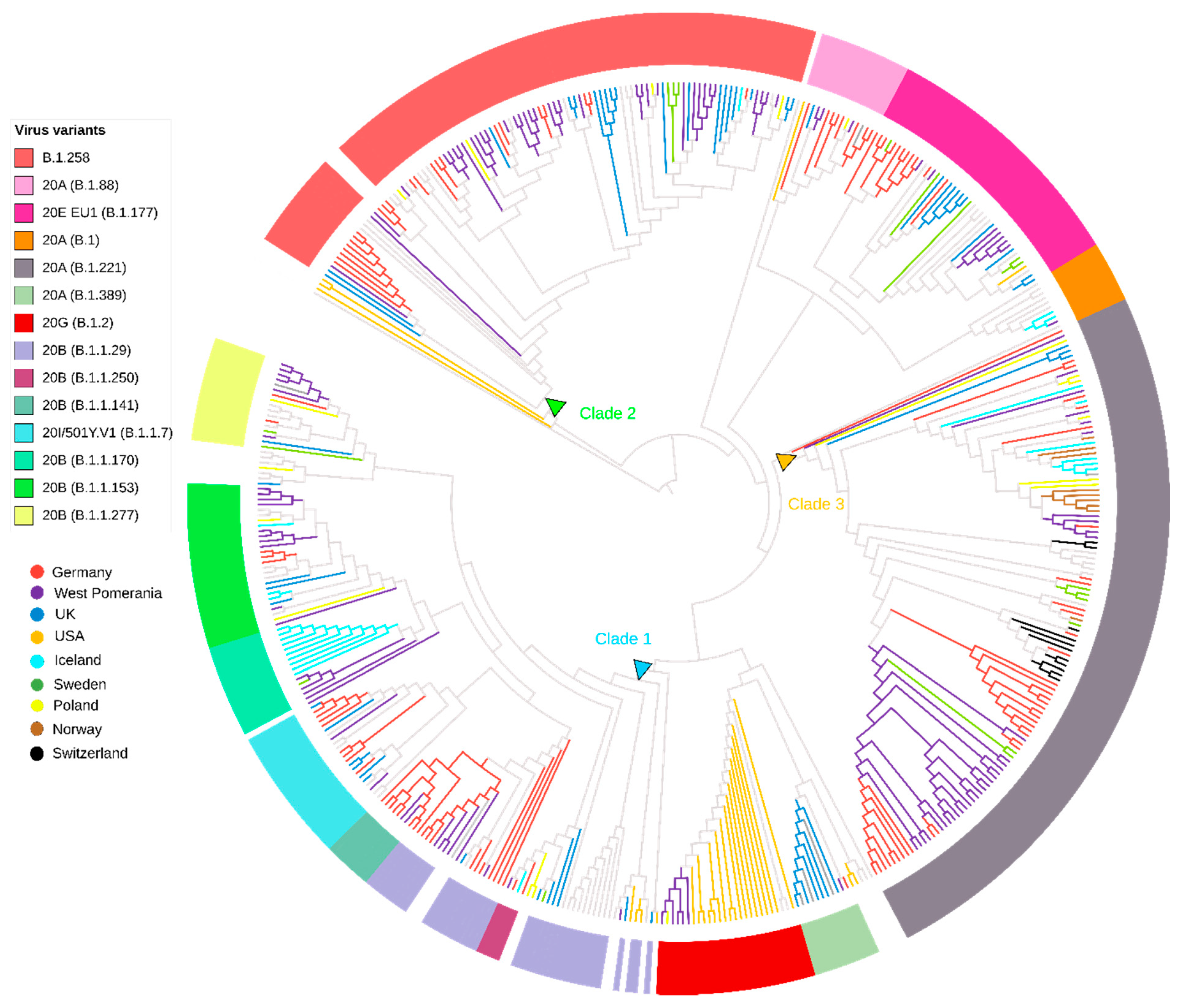 Viruses 13 01295 g004