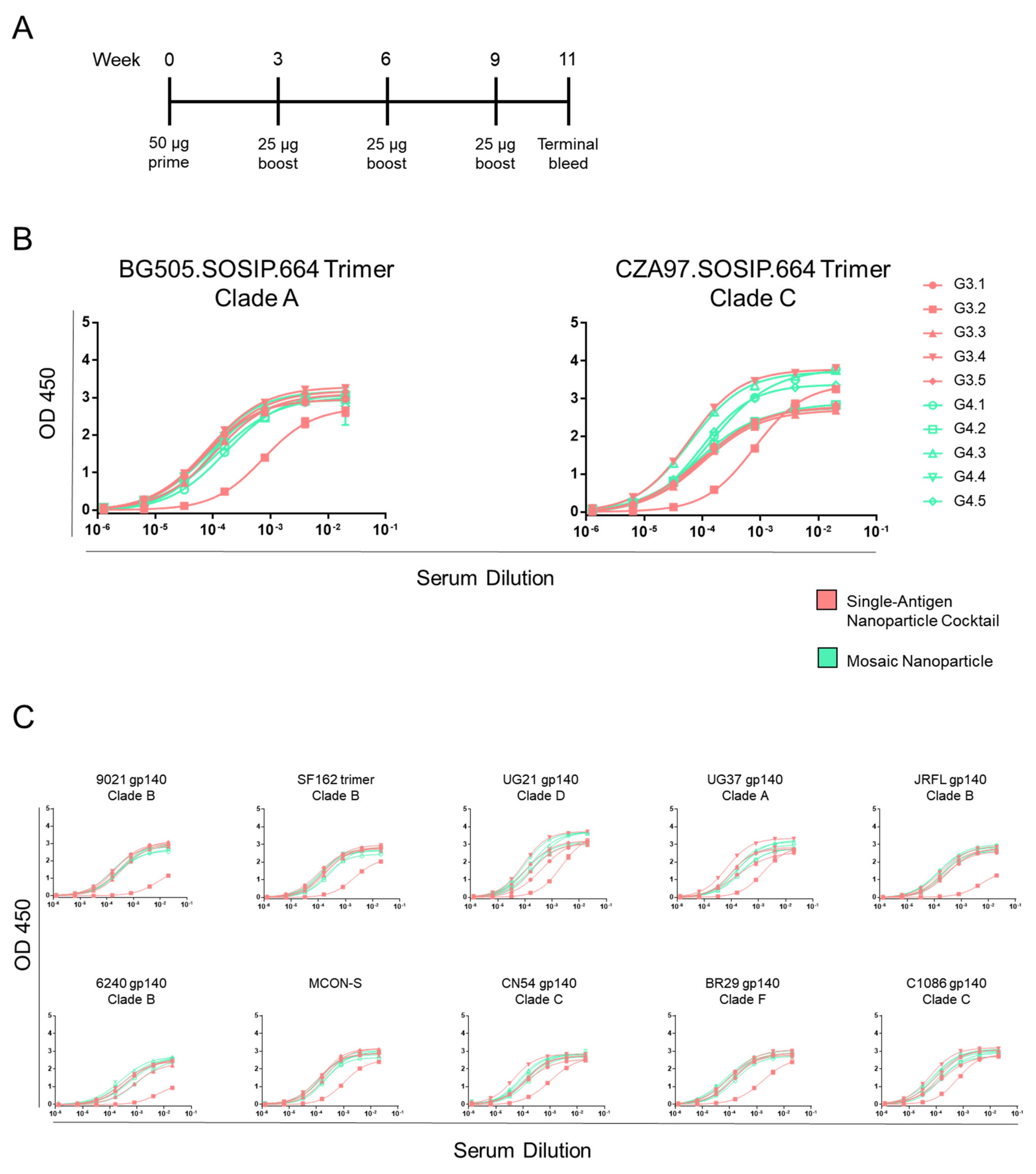 Viruses 13 01296 g004 550