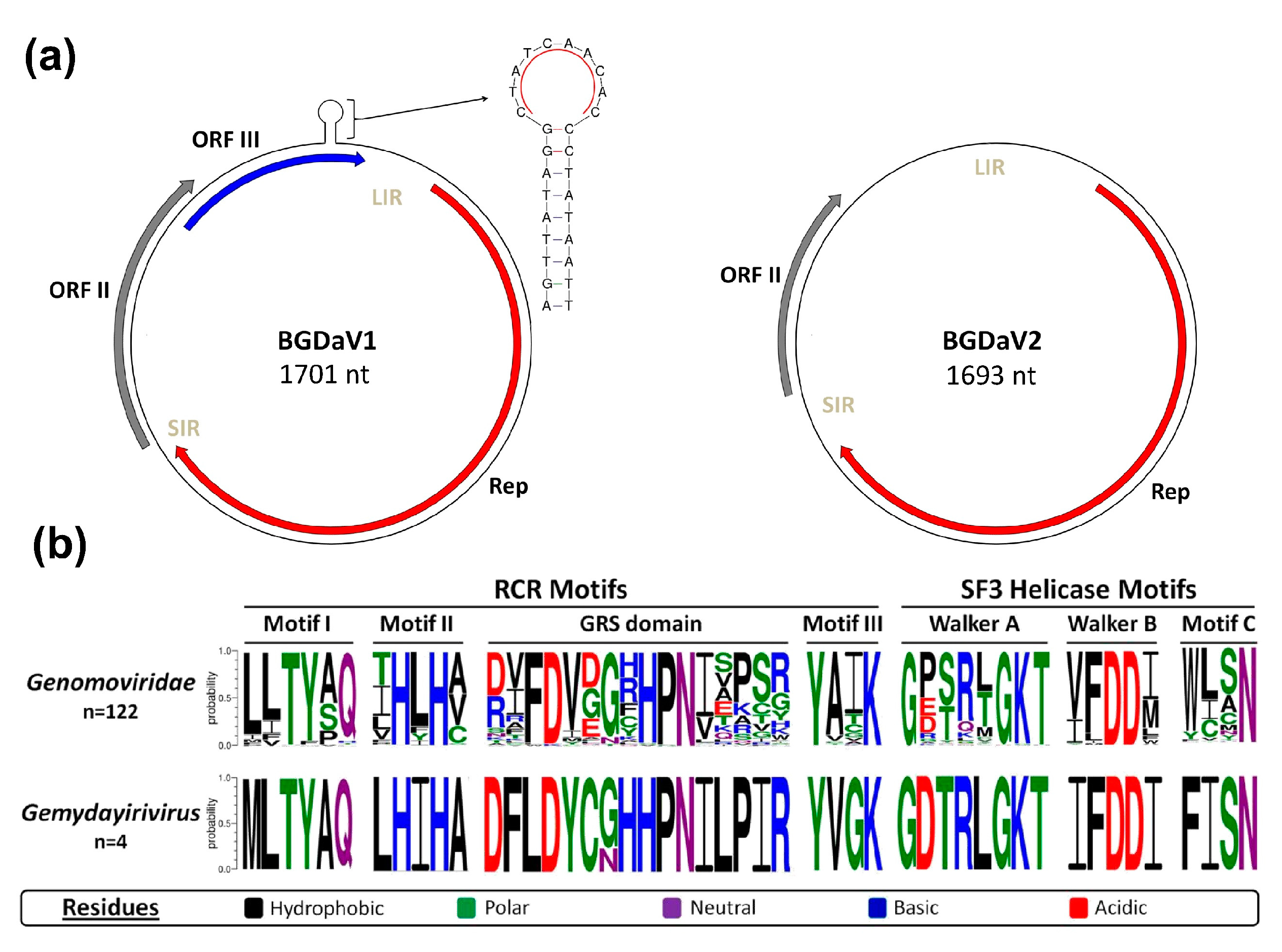 Viruses 13 01315 g001 Viruses 13 01315 g001