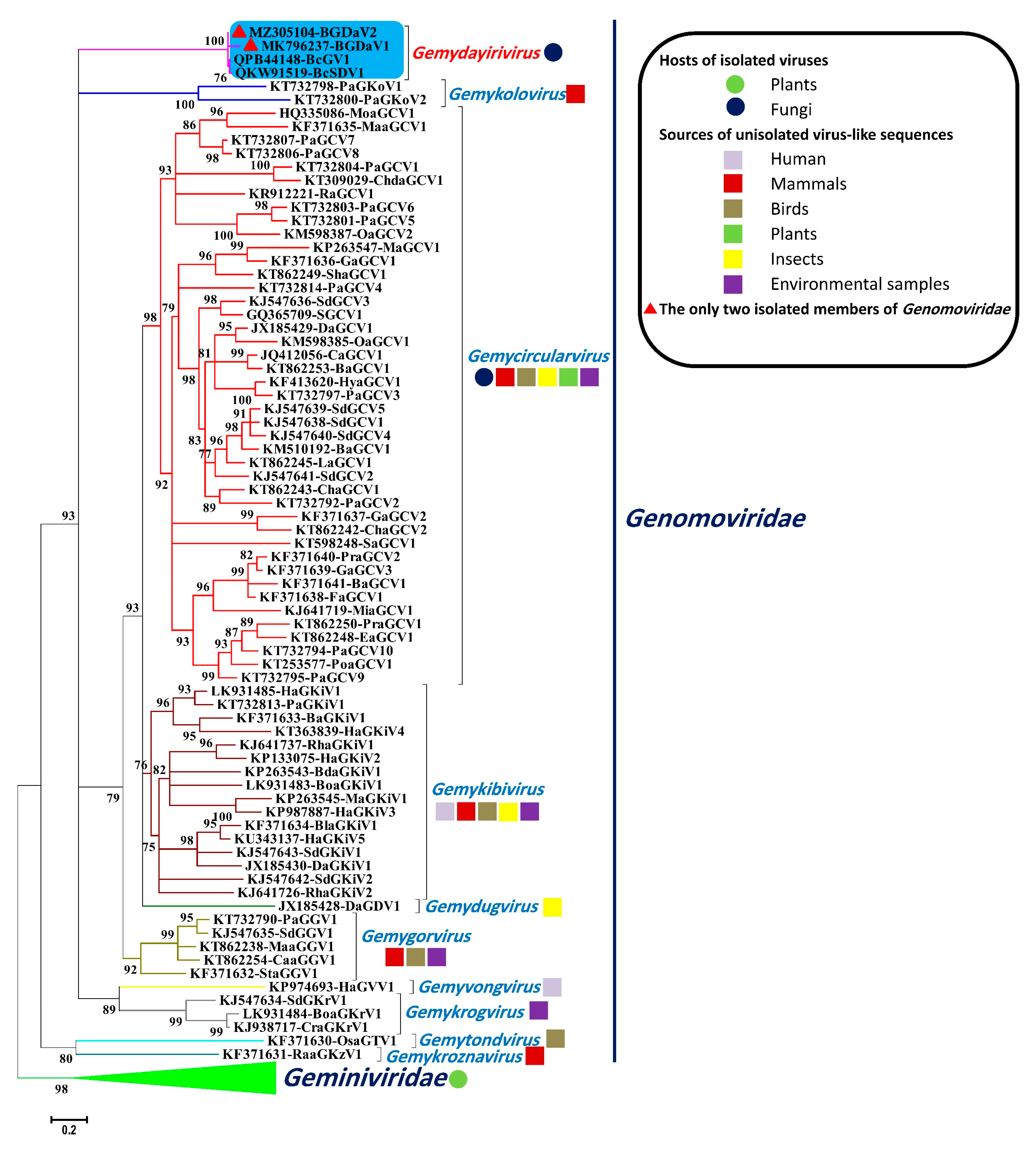Viruses 13 01315 g002 Viruses 13 01315 g002