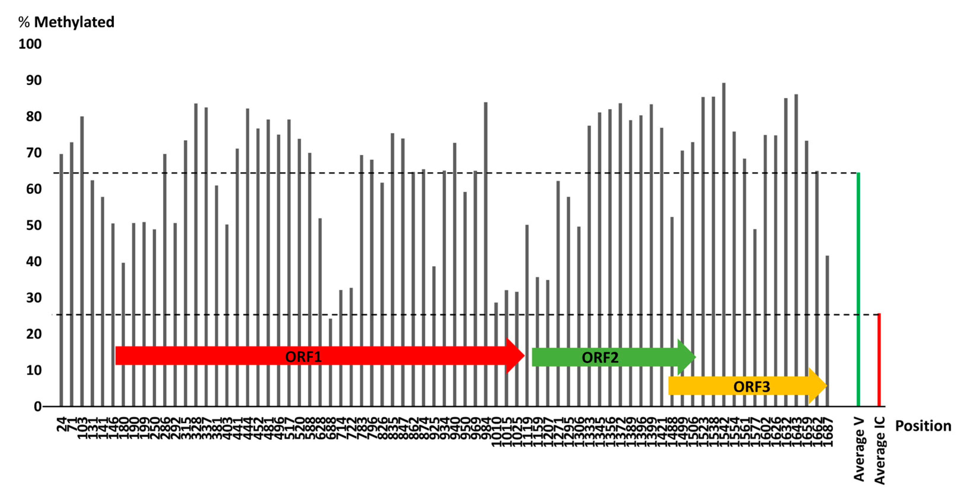 Viruses 13 01315 g008 Viruses 13 01315 g008