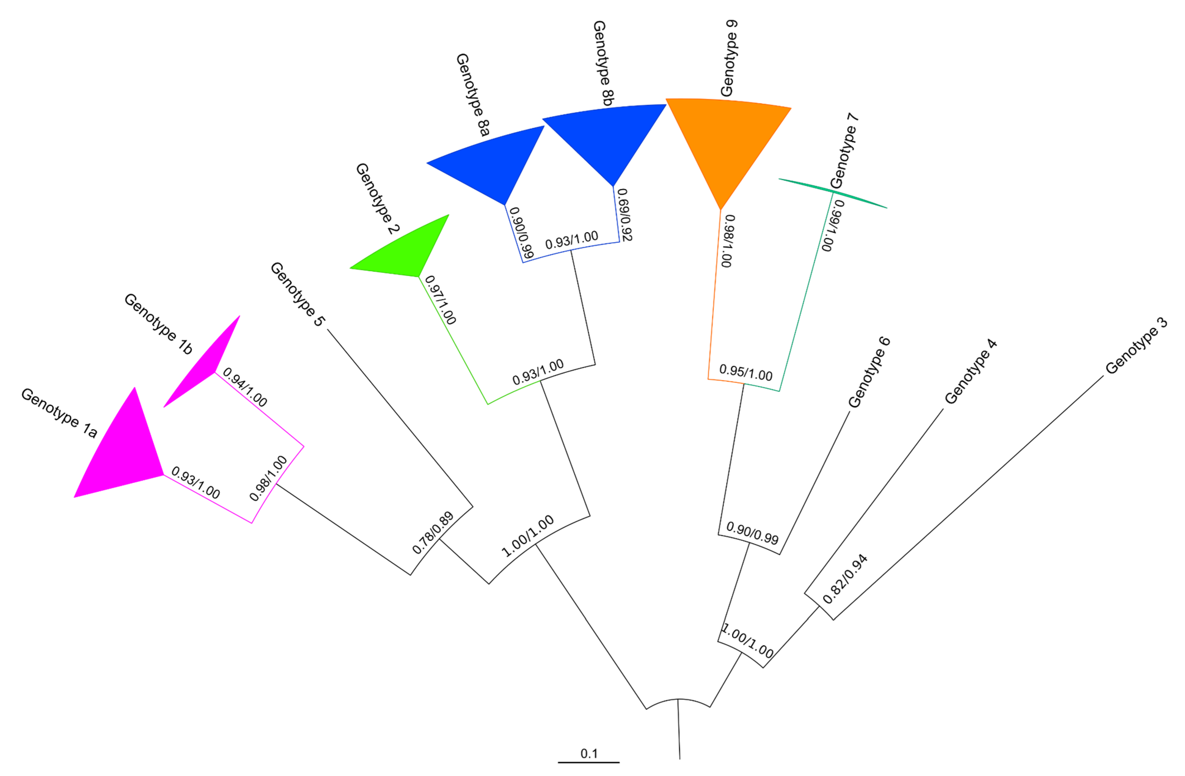 Viruses 13 01317 g003 Viruses 13 01317 g003